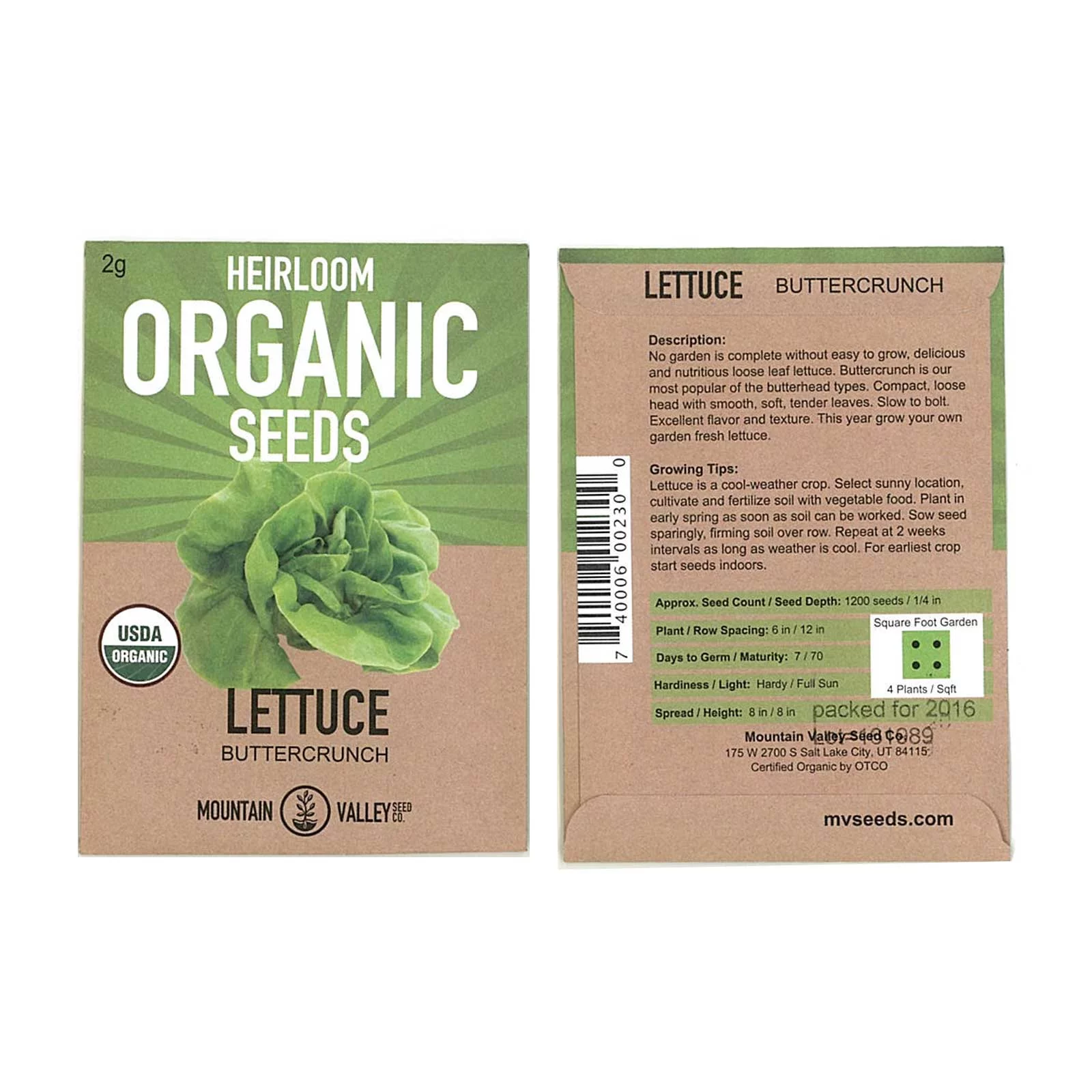 Organic Lettuce Garden Seeds - Buttercrunch - 2.5 Gram Packet - Non-GMO, Heirloom Vegetable Gardening & Microgreens Seeds; AKA Butterhead