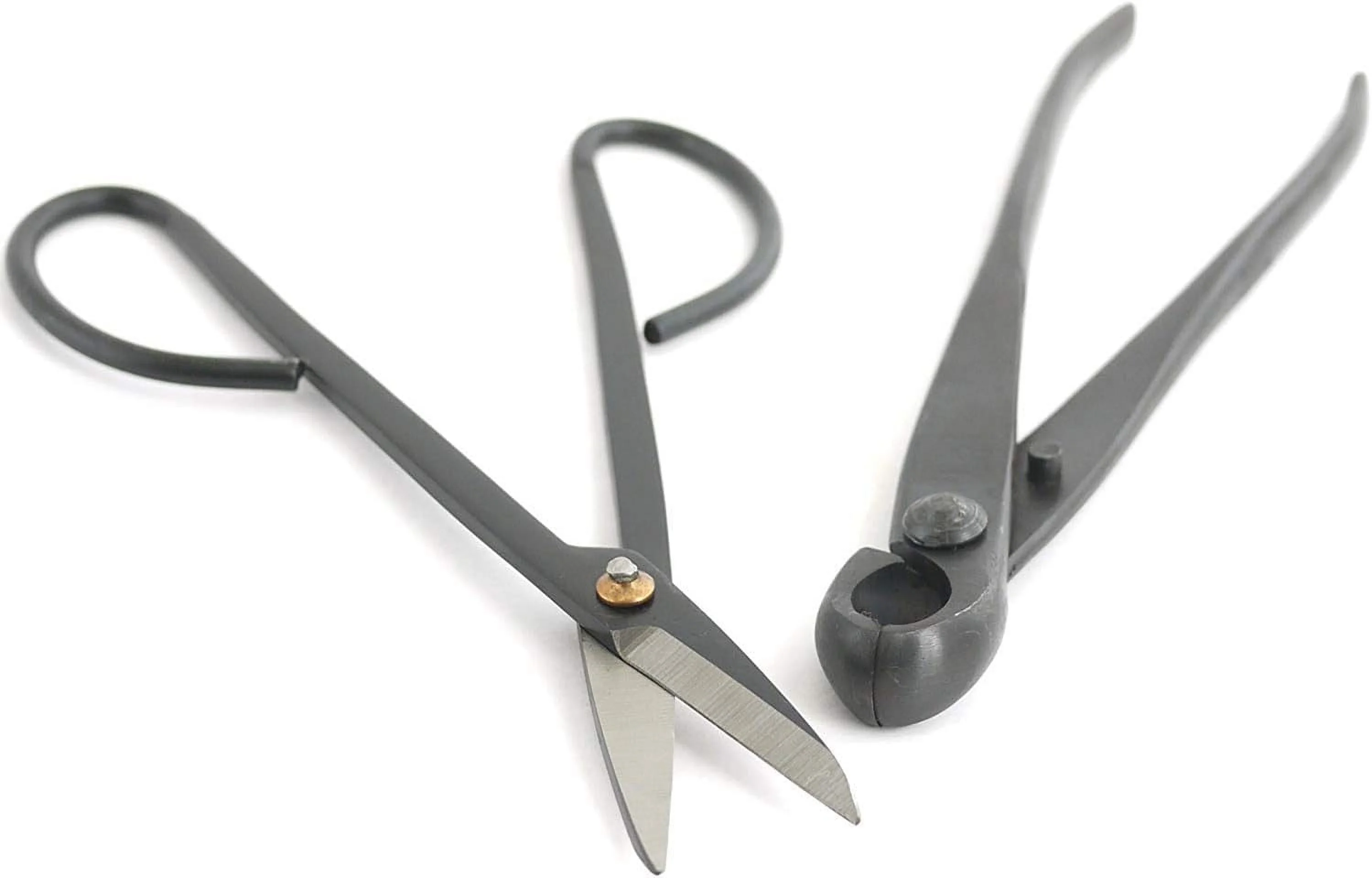 Bonsai Basics Set - 8