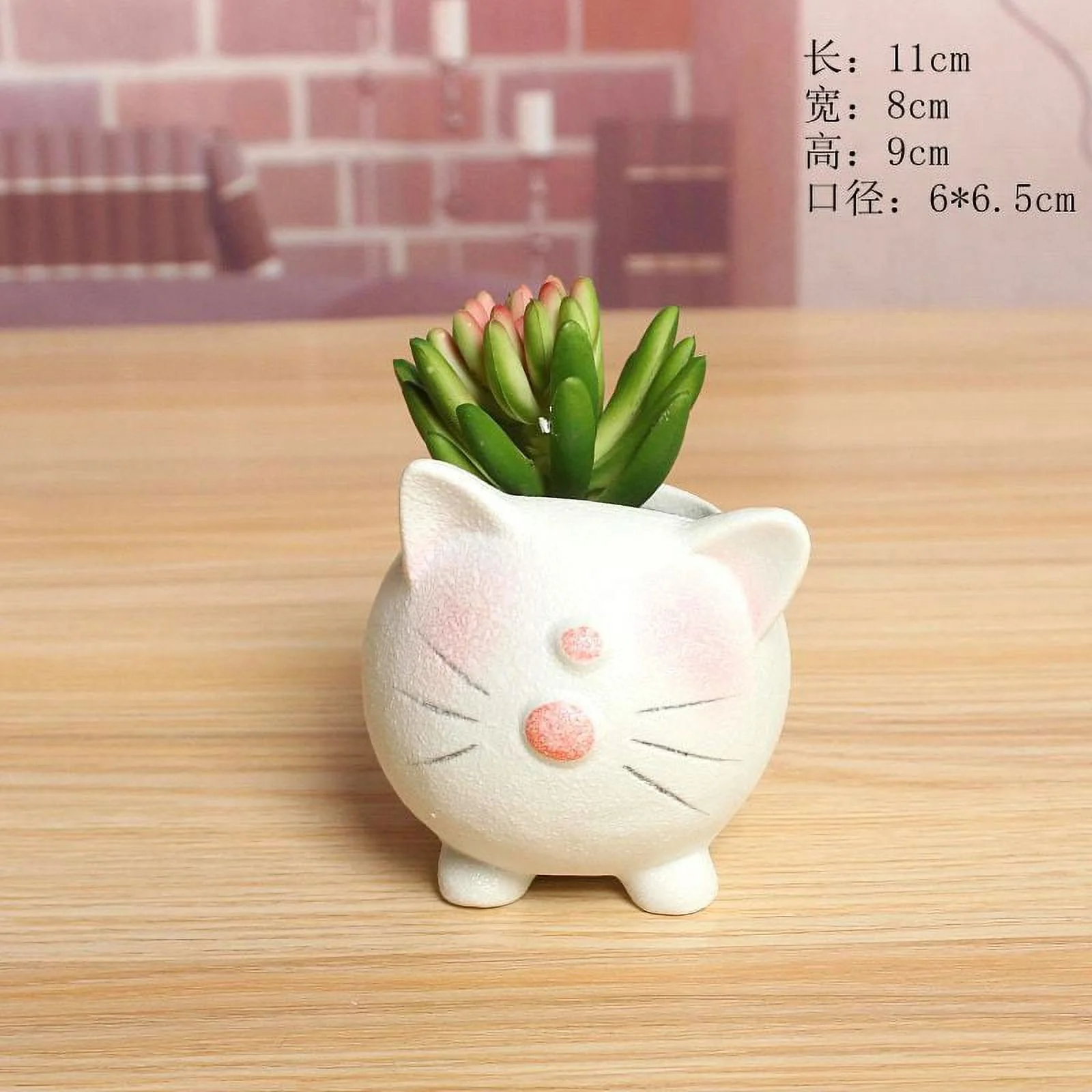 Snowflake Glazed Ceramic Succulent Planter - European Style Cartoon Minimalist Pot