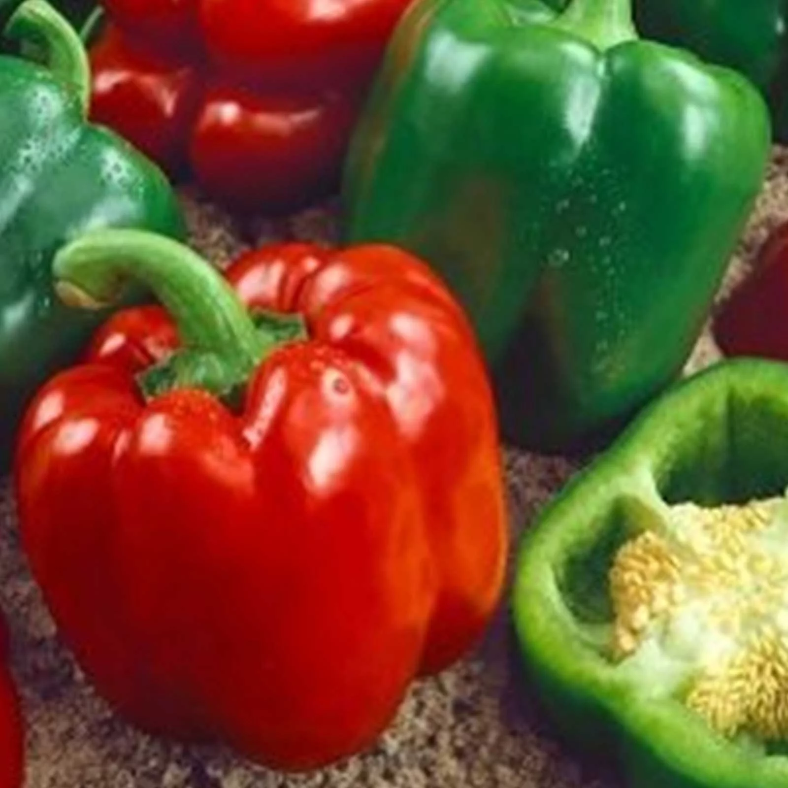 Keystone Resistant Giant Sweet Pepper Garden Seeds - 1 oz - Non-GMO, Heirloom - Four Lobed Green & Red Bell Peppers - Vegetable Gardening Seeds