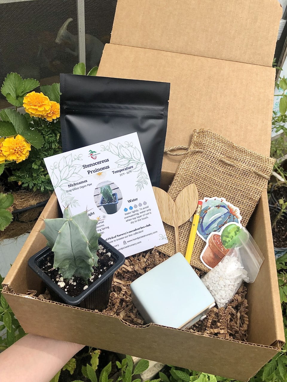 Cacti Box DIY Kit - FREE 2 DAY SHIPPING!! - Gift Box - Planting Kit with Goodies!