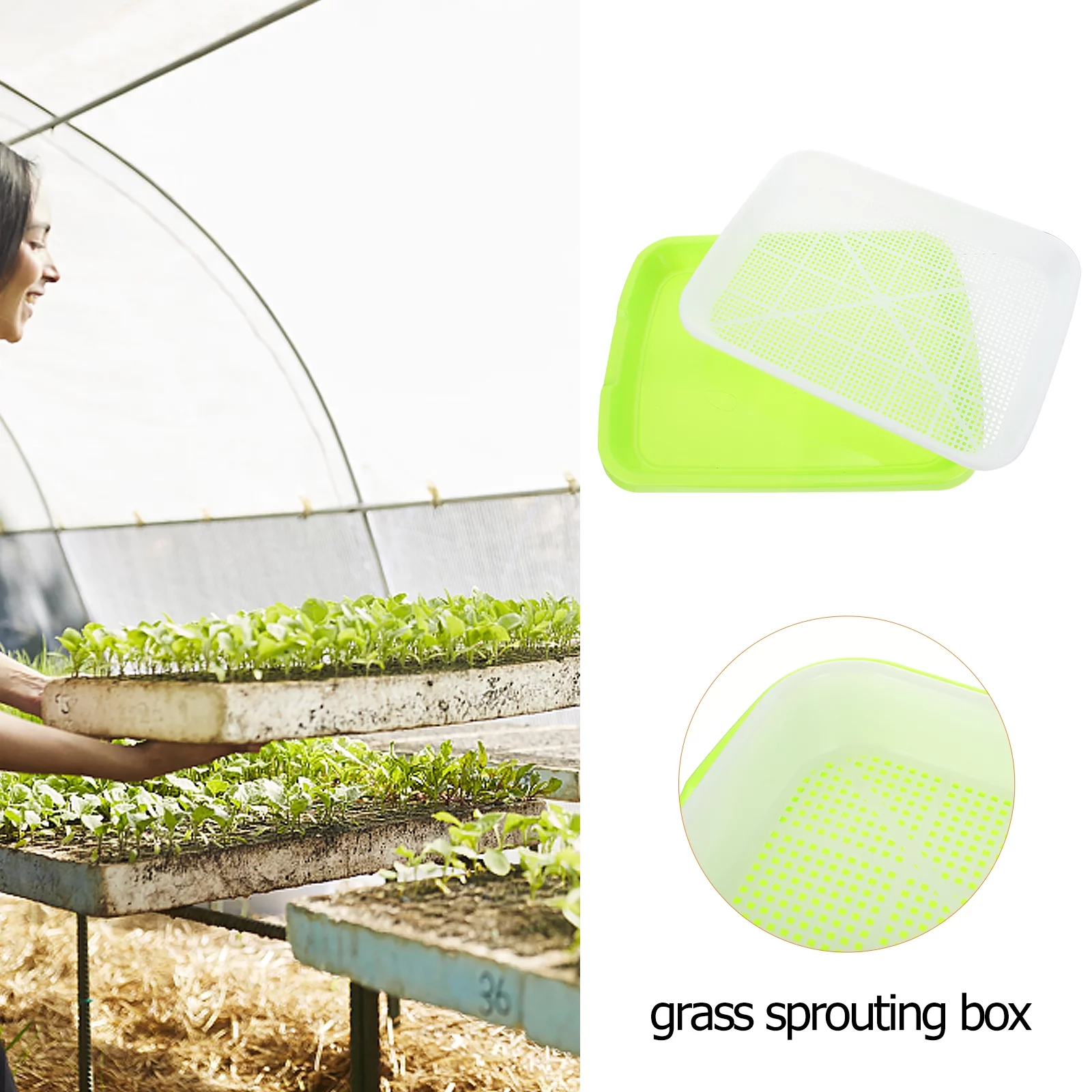 Gongxipen 2 Sets Sprout Vegetable Seedlings Tray Wheatgrass Double-layer Seedlings Box