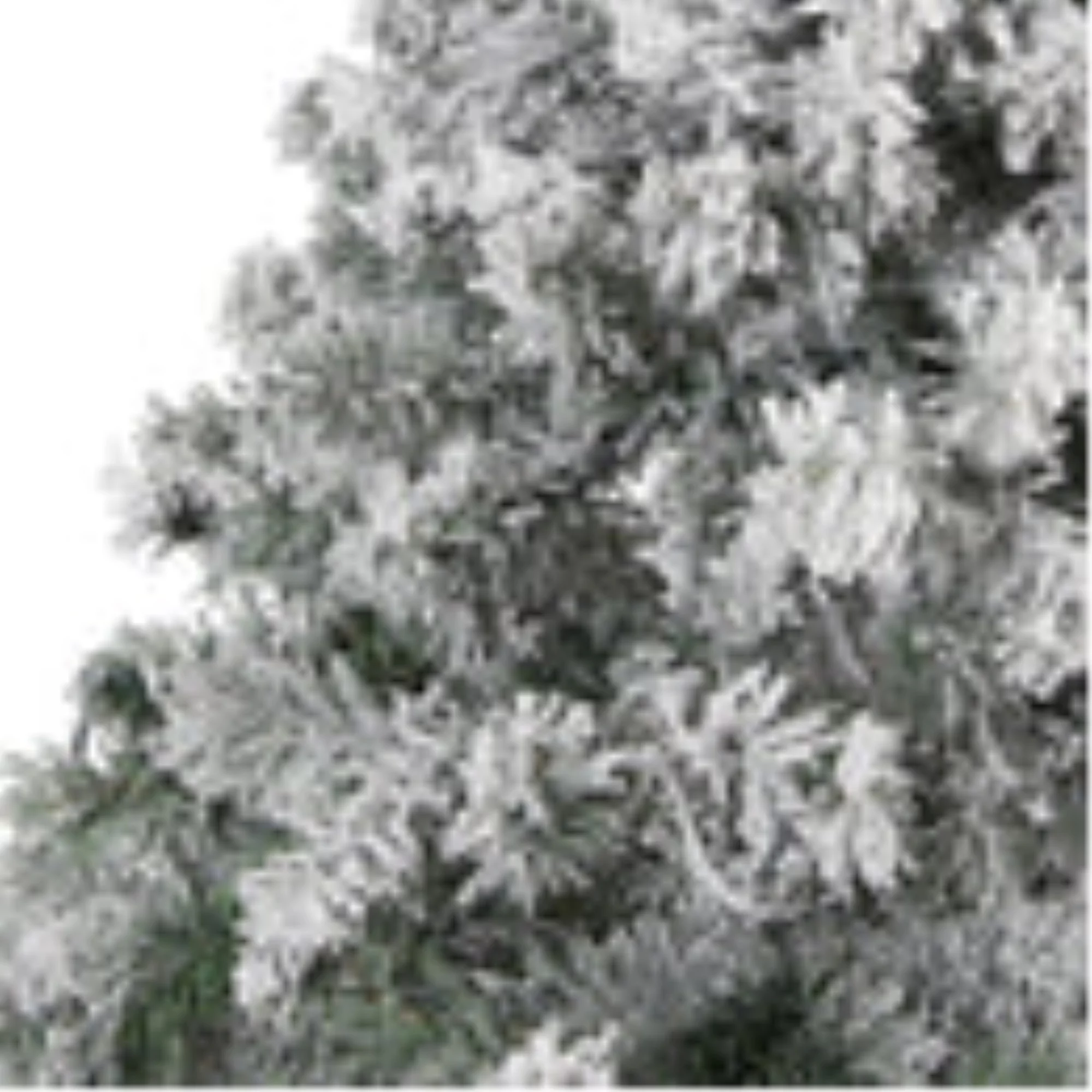 Nearly Natural 7' Flocked Rock Spruce Artificial Christmas Tree, Unlit