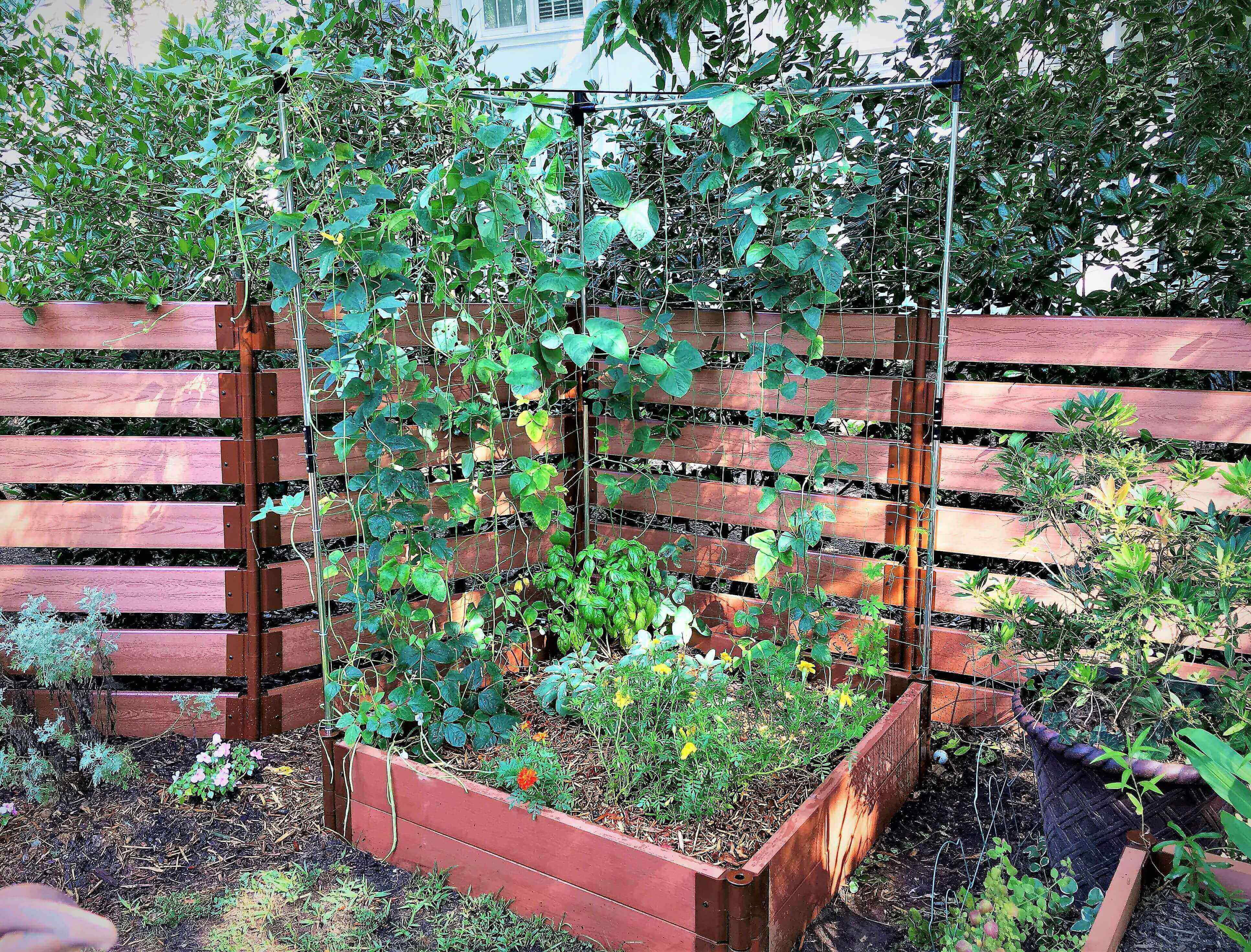 Frame It All Stack & Extend Veggie Wall
