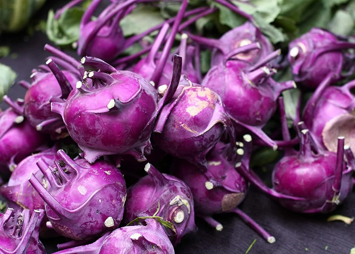 100 Purple Vienna Kohlrabi Seeds for Planting Exotic Garden Vegetable