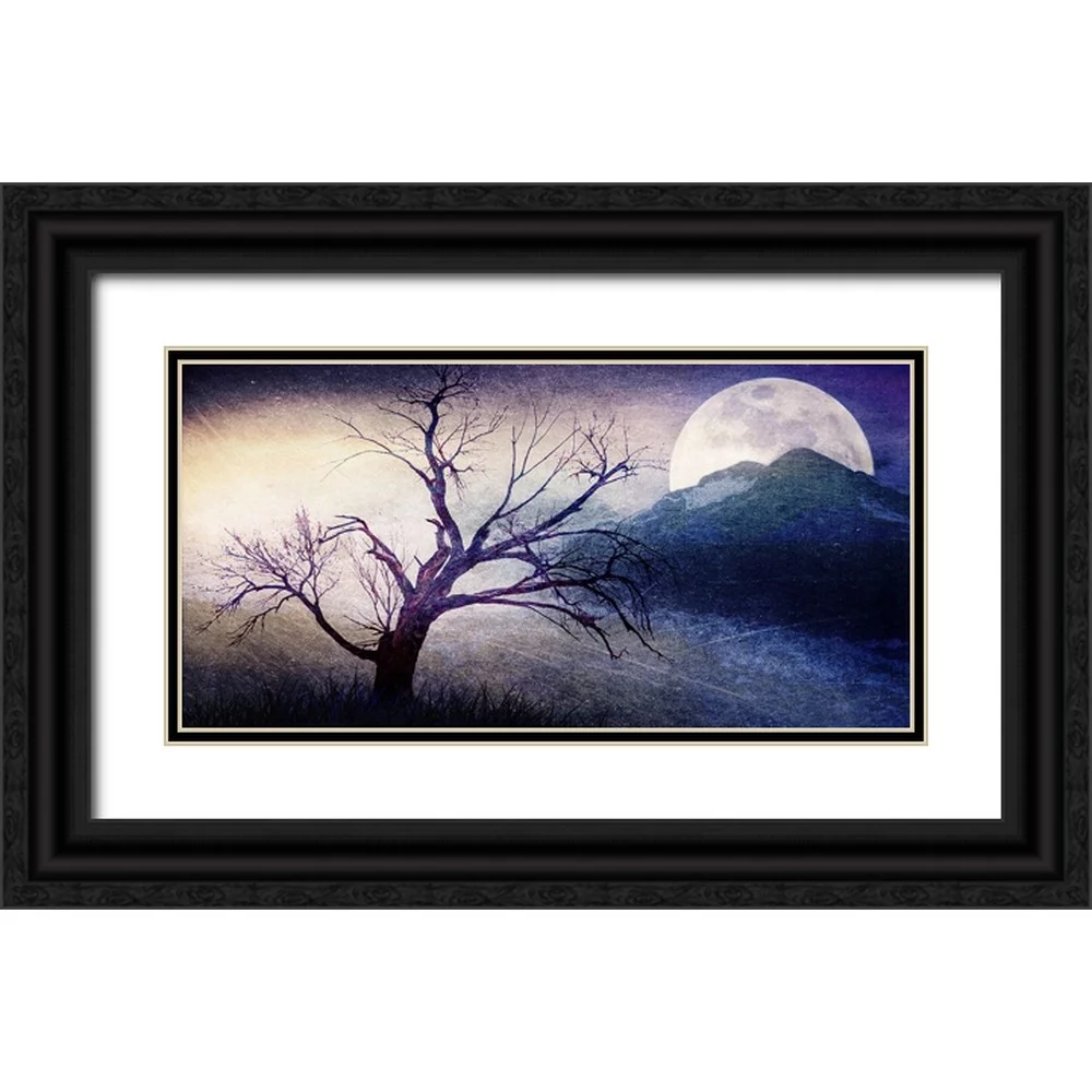 LightBoxJournal 14x9 Black Ornate Wood Framed with Double Matting Museum Art Print Titled - Cottonwood Tree Part 11