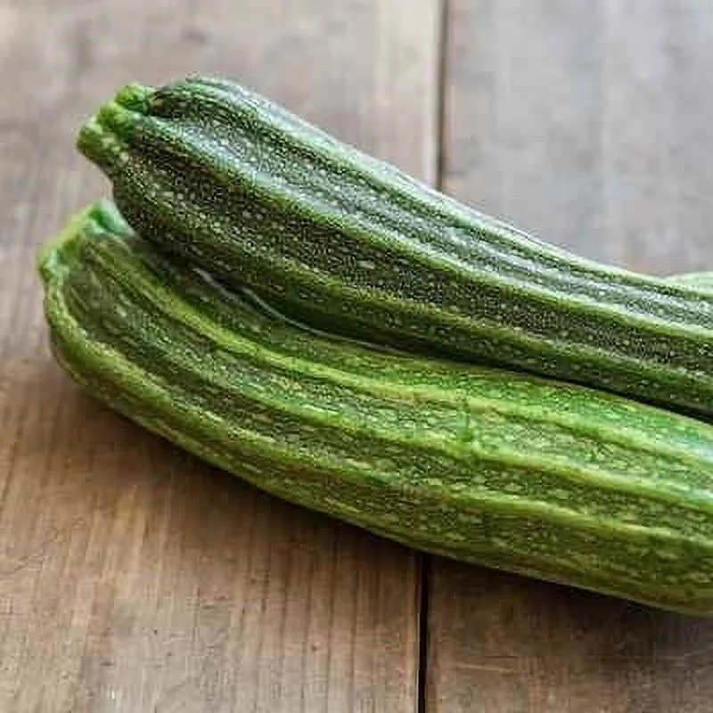 Eden Brothers Squash (Summer) Seeds - Romanesco Non-GMO Seeds for Planting, Packet | Low-Maintenance Vegetable Seeds, Plant During Warm Season, Zones 10, 3, 4, 5, 6, 7, 8, 9