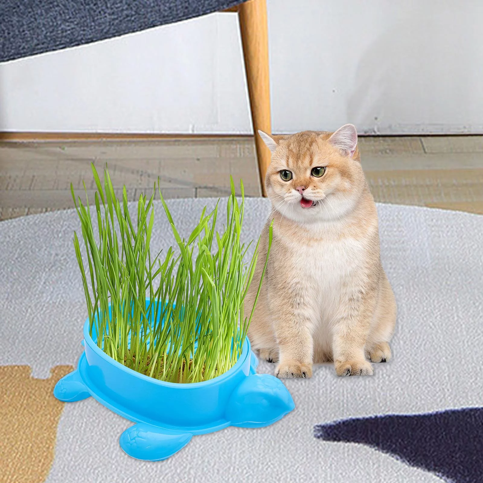 Cat Grass Box Cats Grass Basin Soil Free Wheatgrass Grower Seed Tray Blue