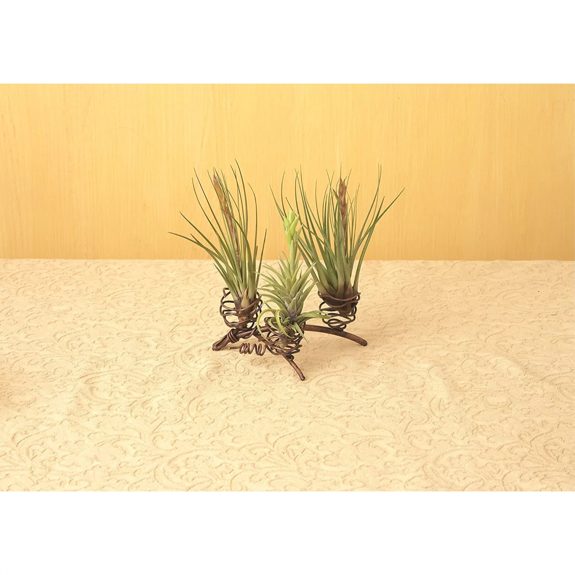 Ancient Graffiti Standing Triple Air Planter, Metal, 3