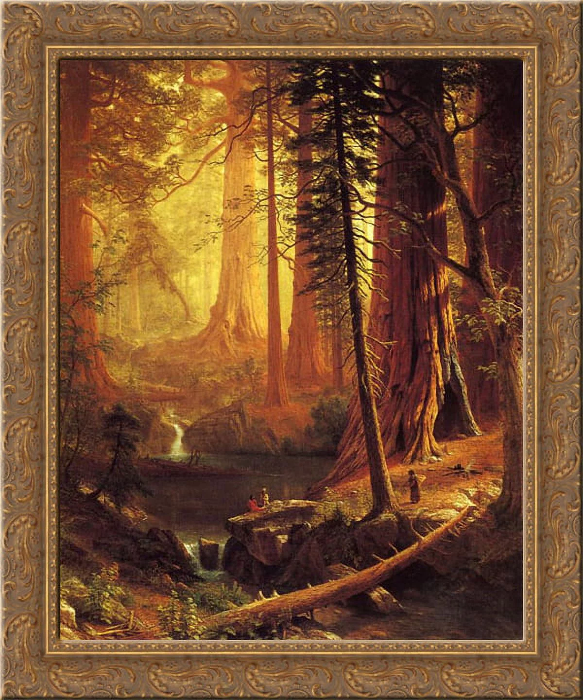Giant Redwood Trees of California 20x24 Gold Ornate Wood Framed Canvas Art by Bierstadt, Albert