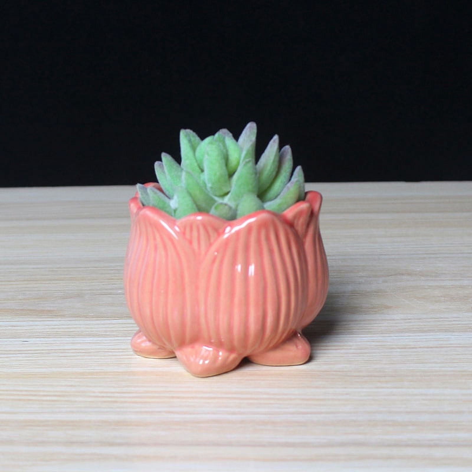 LivNxt Ceramic Succulent Planter - Breathable Coarse Pottery Garden Pot with Drainage Holes