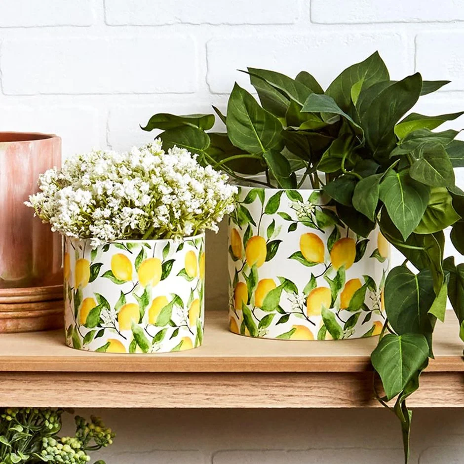Lemon Ceramic Planter - Large