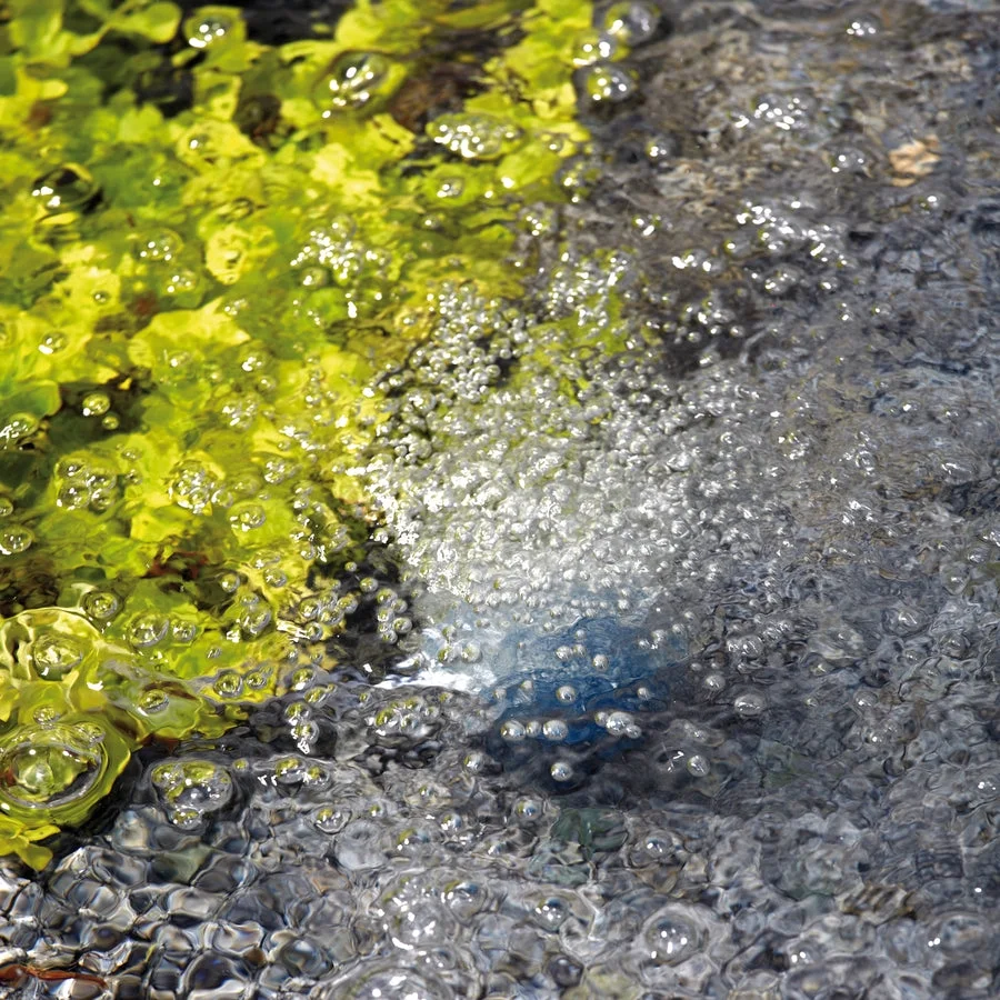 OASE AquaOxy 450 - Pond Skimmer