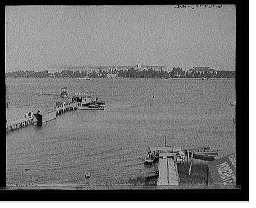 Historic Framed Print, [The Royal Poinciana from Lake Worth, West Palm Beach, Fla.] - 2, 17-7/8