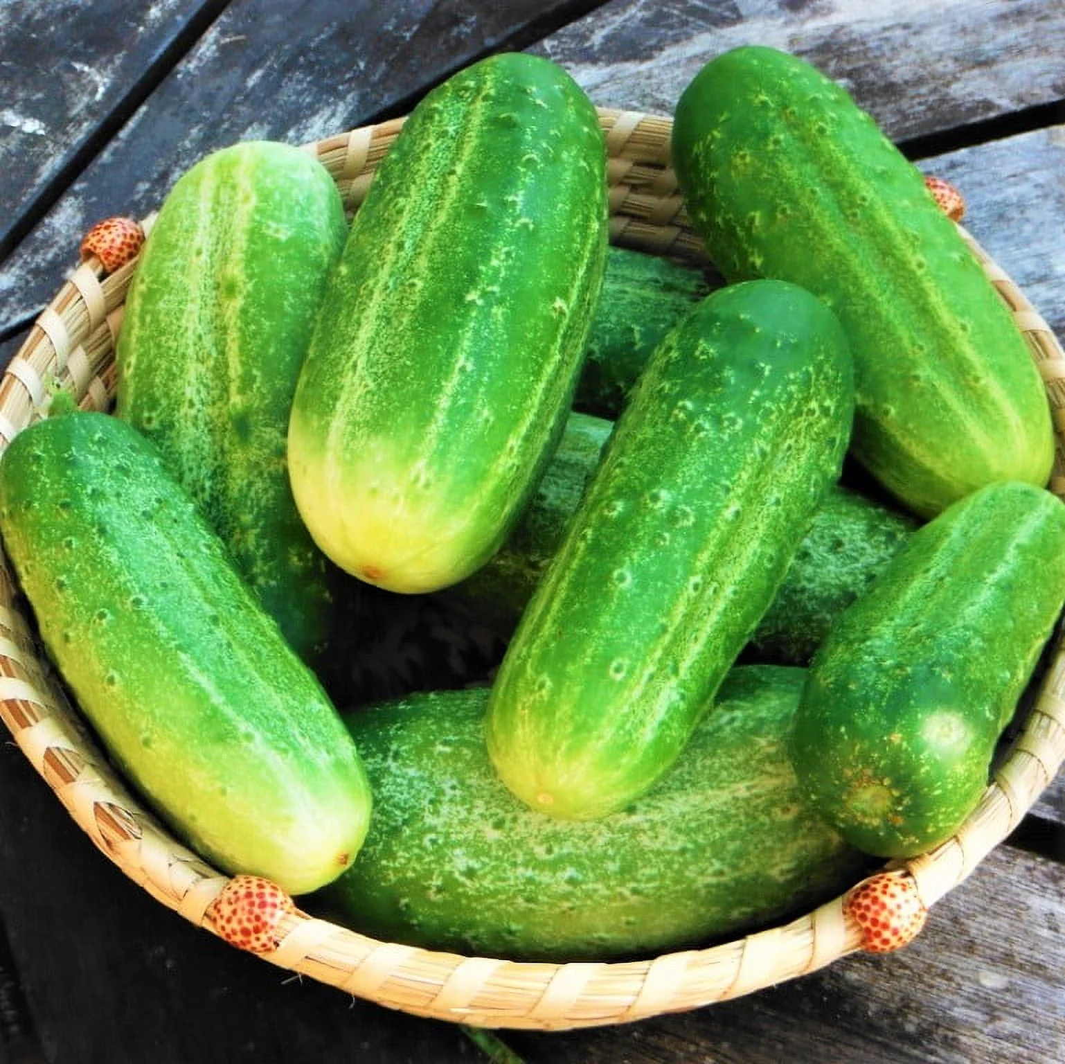 National Pickling Cucumber Seeds - 100 Count Seed Pack - Dark Green with Black spines, These cukes are Delicious at Any Age. - Country Creek LLC