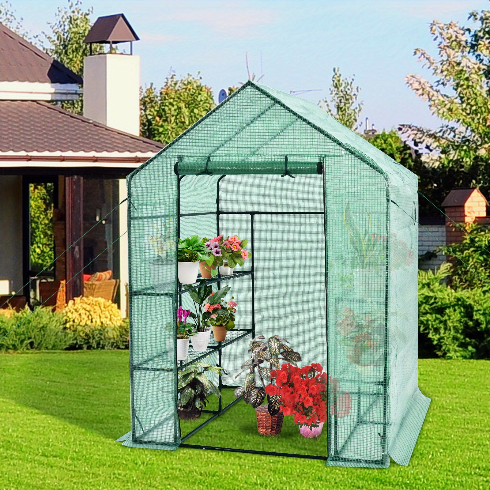 Walk-in Greenhouse 56