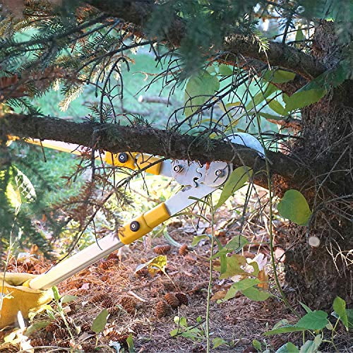 76  Duty Bypass Lopper 1¾-Inch Cut Capacity With Telescoping Aluminum Alloy Handle (Extend To 33 Inch)