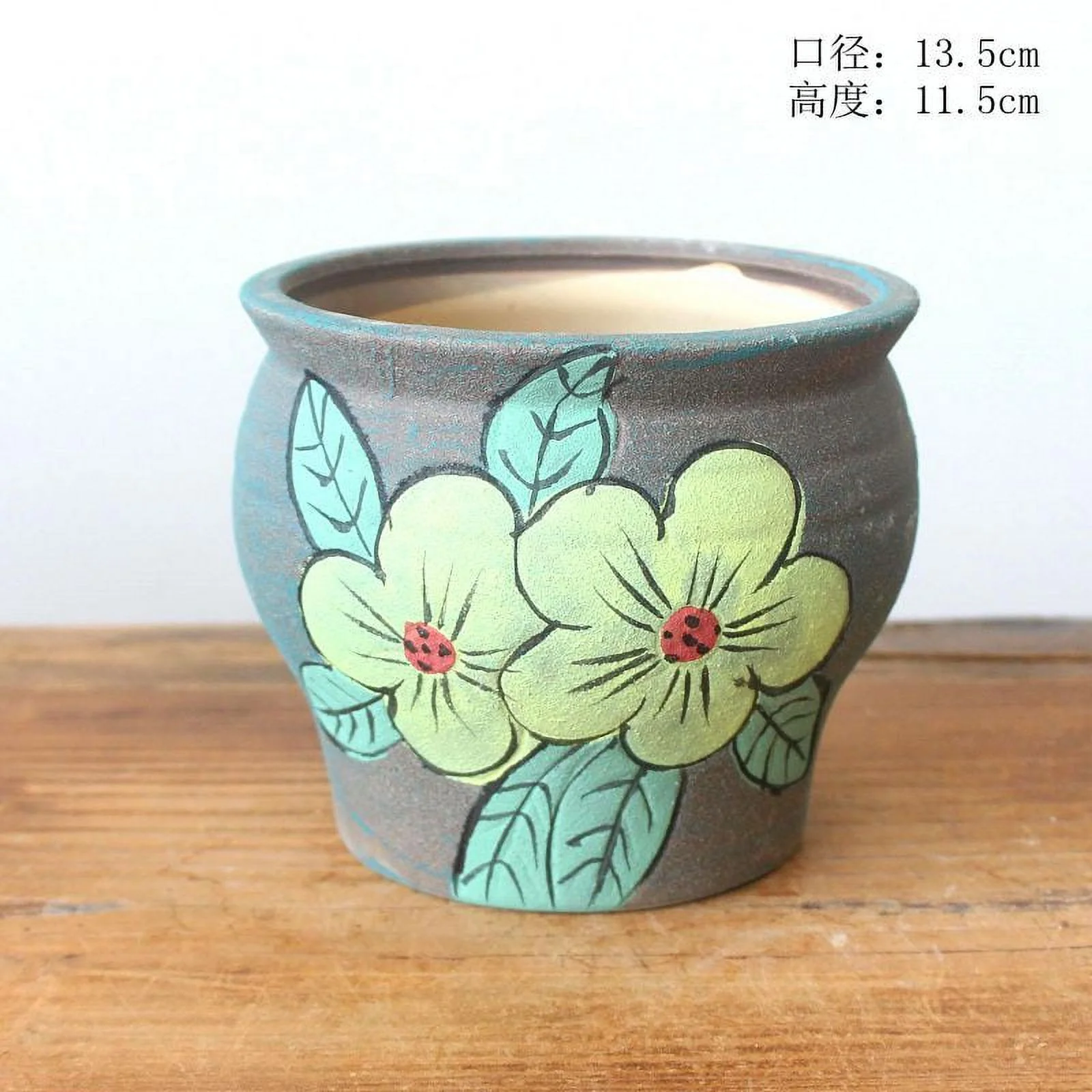 Hand-painted Coarse Pottery Succulent Flower Pot
