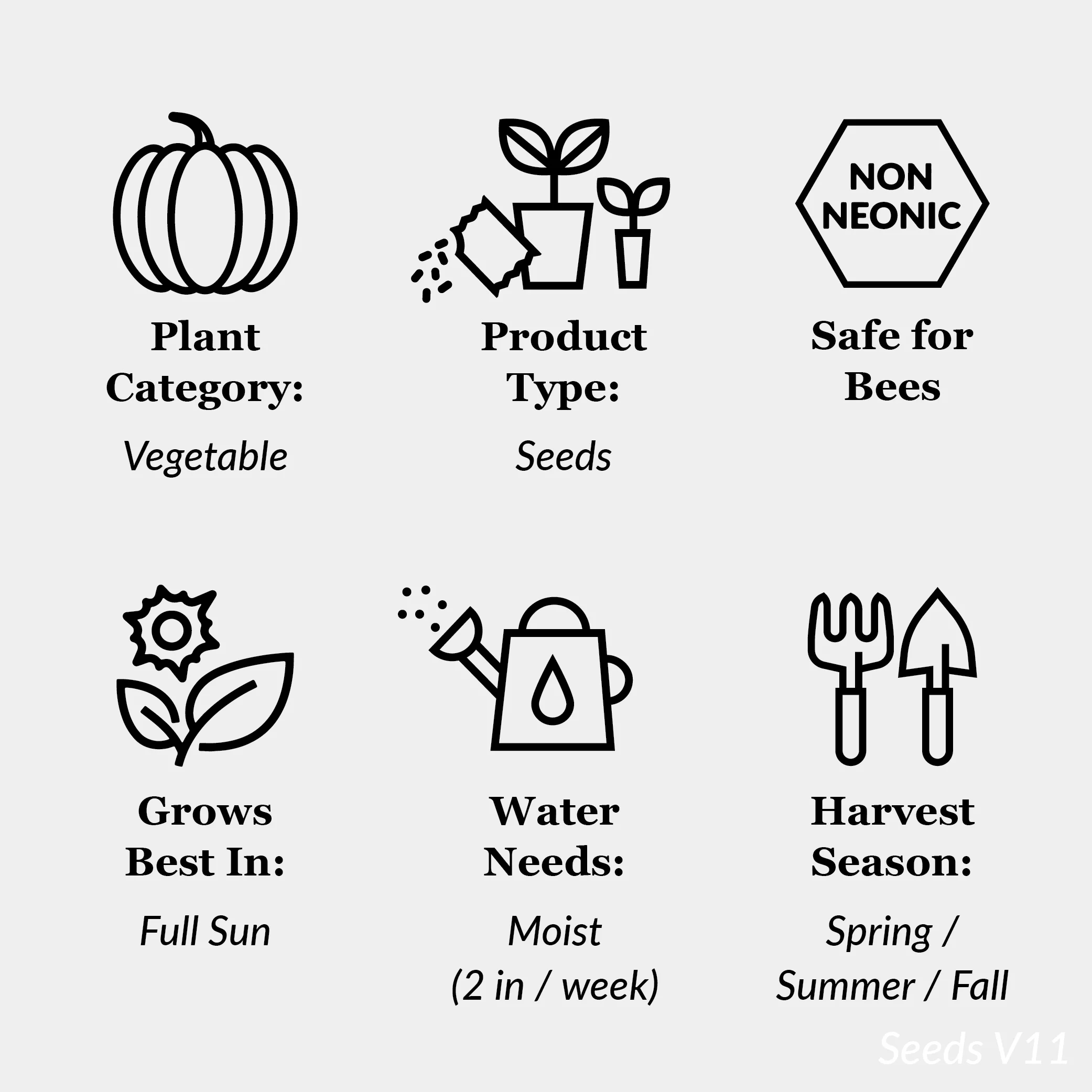 American Seed 1G Radish Black Spanish Plant Seeds Full Sun