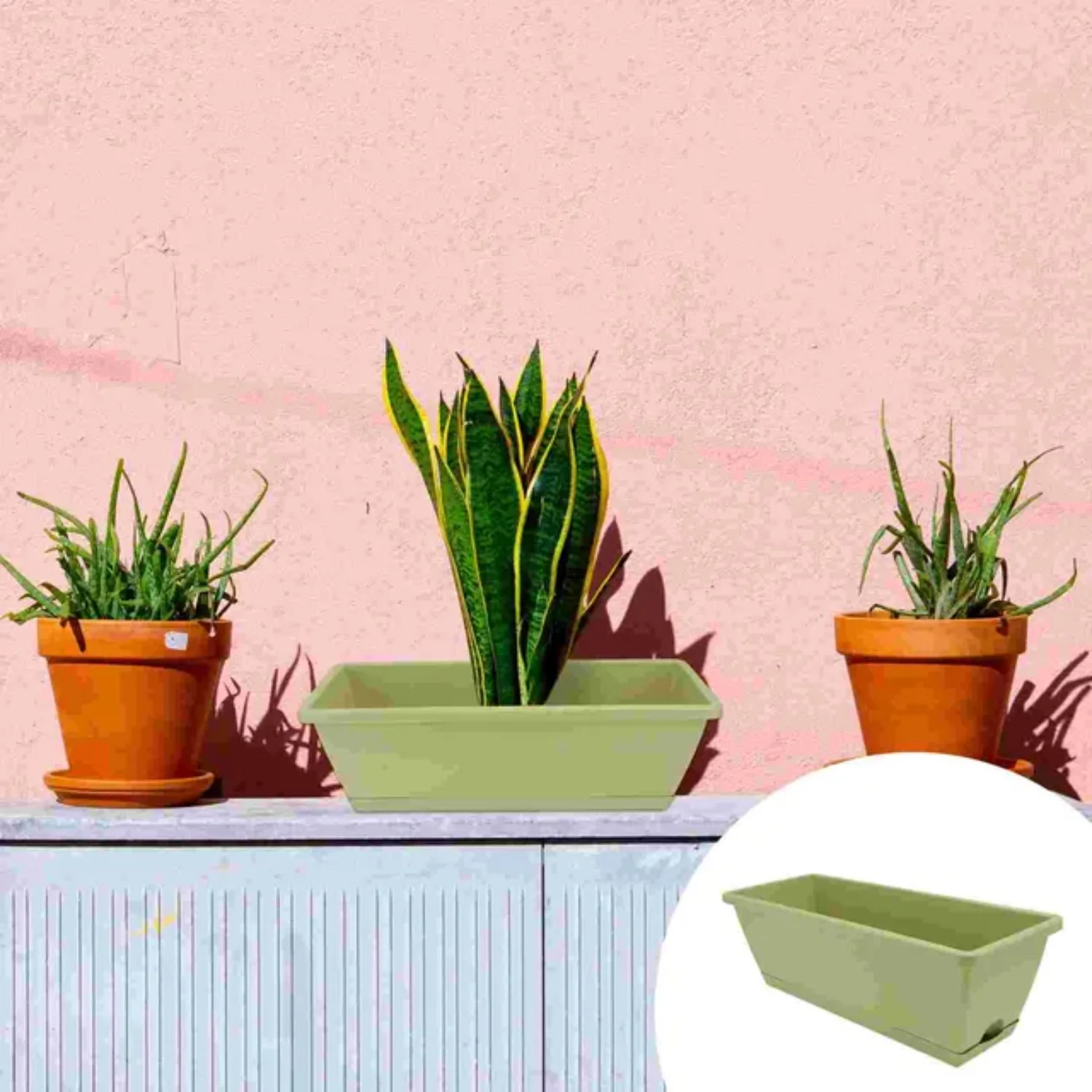 Rectangular Plastic Gardening Flowerpot Pots for Planting Vegetables and Flowers in Your Garden or Patio! Quirky  Colorful  and Versatile Vegetable Plant Pot for Your Planting Needs! High