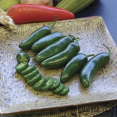 Clovers Garden Jalapeno Pepper Plant – Two (2) Live Plants – Non-GMO - Not Seeds – Each 4