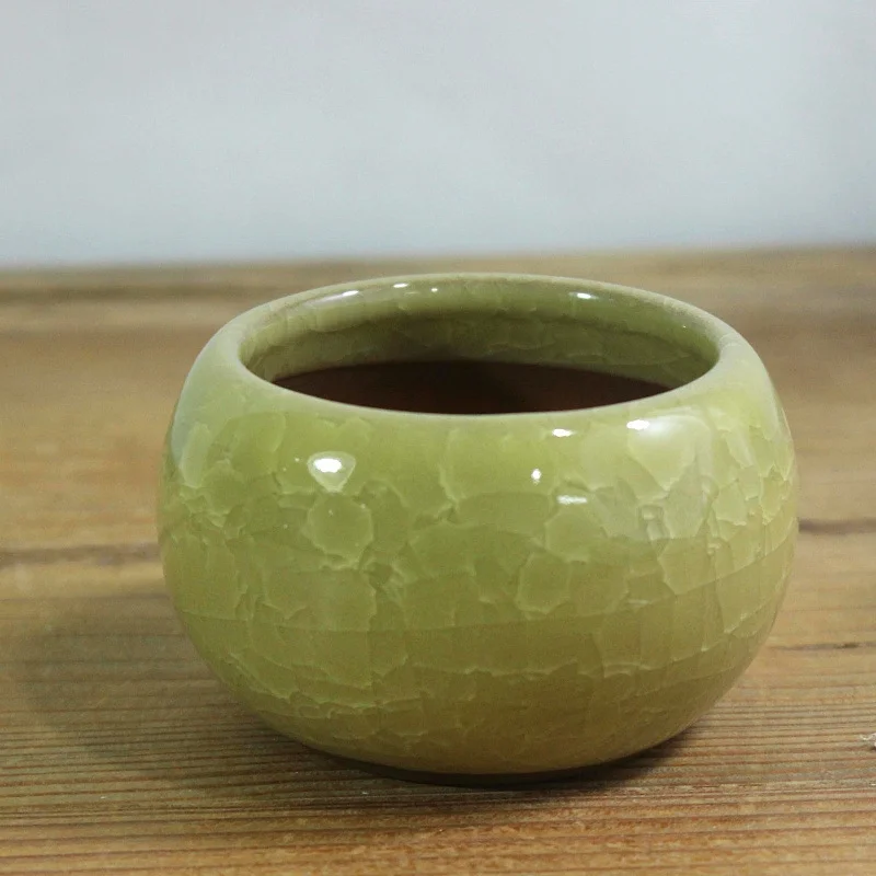 Ceramic Succulent Planter - Hand-Painted Succulent Pot - Desktop Plant Pot