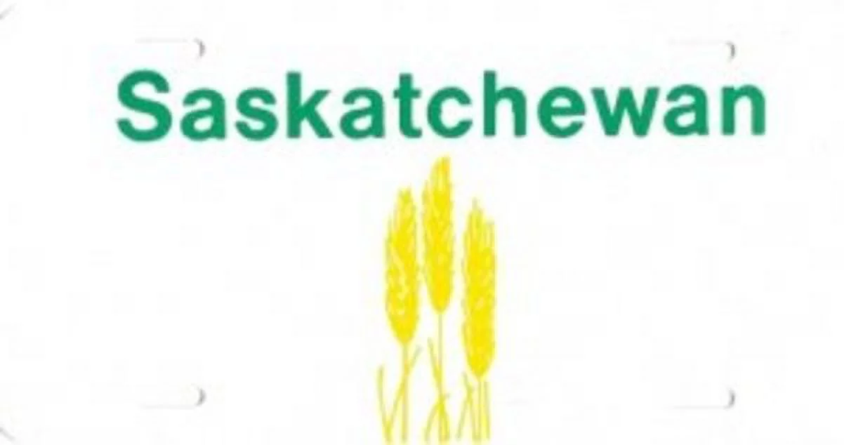 Design it Yourself Saskatchewan Look Alike Plate  All wording is Free