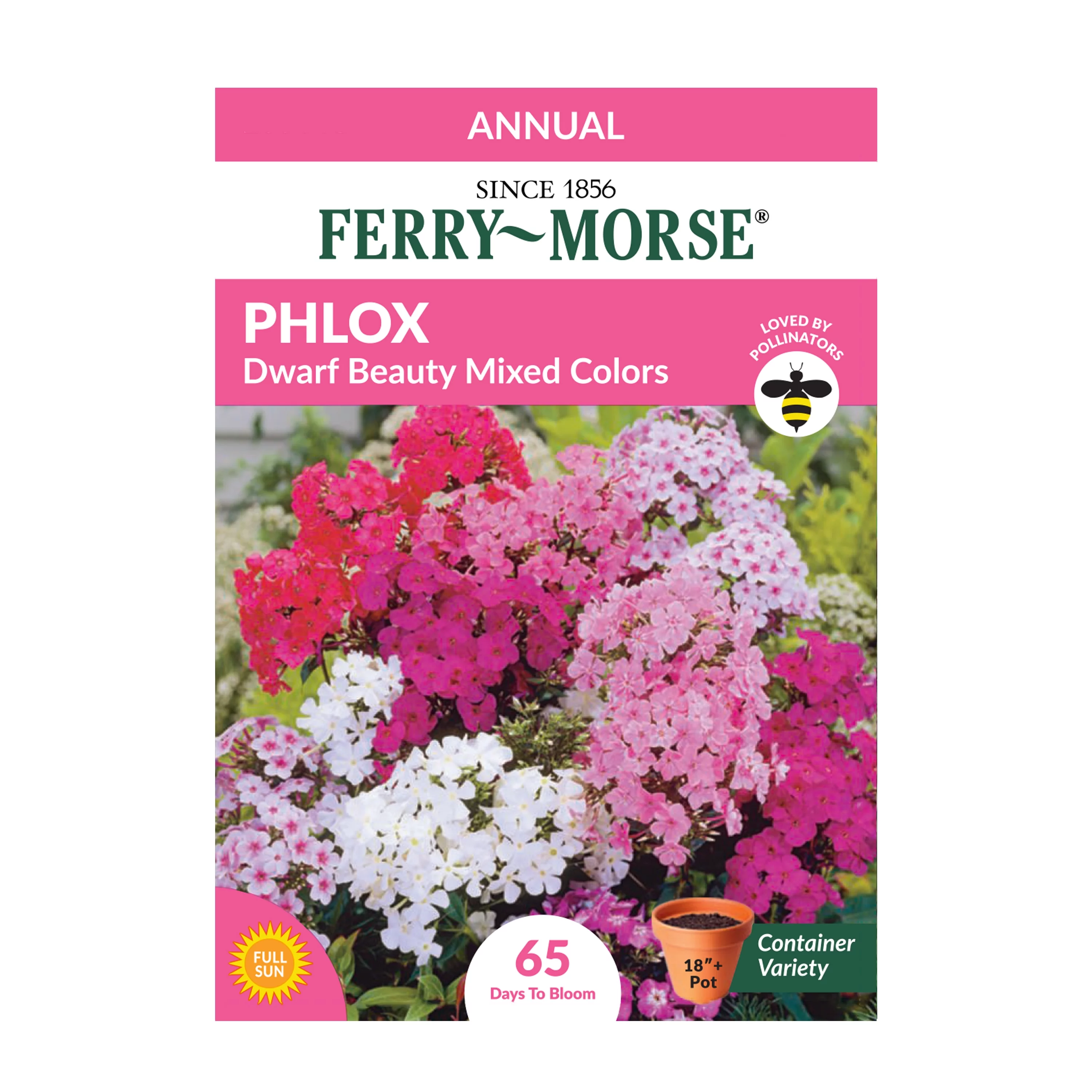 Ferry-Morse 15MG Phlox Dwarf Beauty Mixed Colors Annual Flower Seeds Full Sun