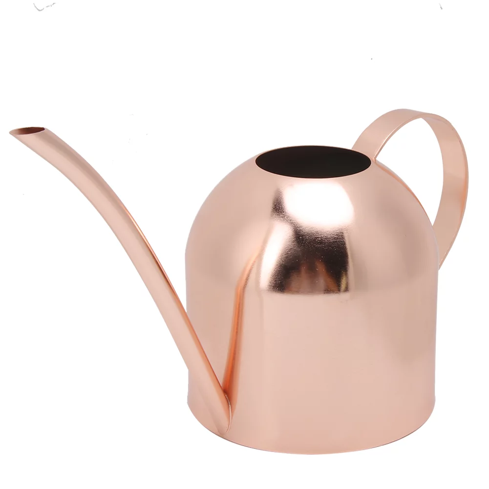 Long Mouth Watering Can 1000ml Stainless Steel Watering Can Sprinkle Pot Long Mouth Garden Flowers Plants Water Container
