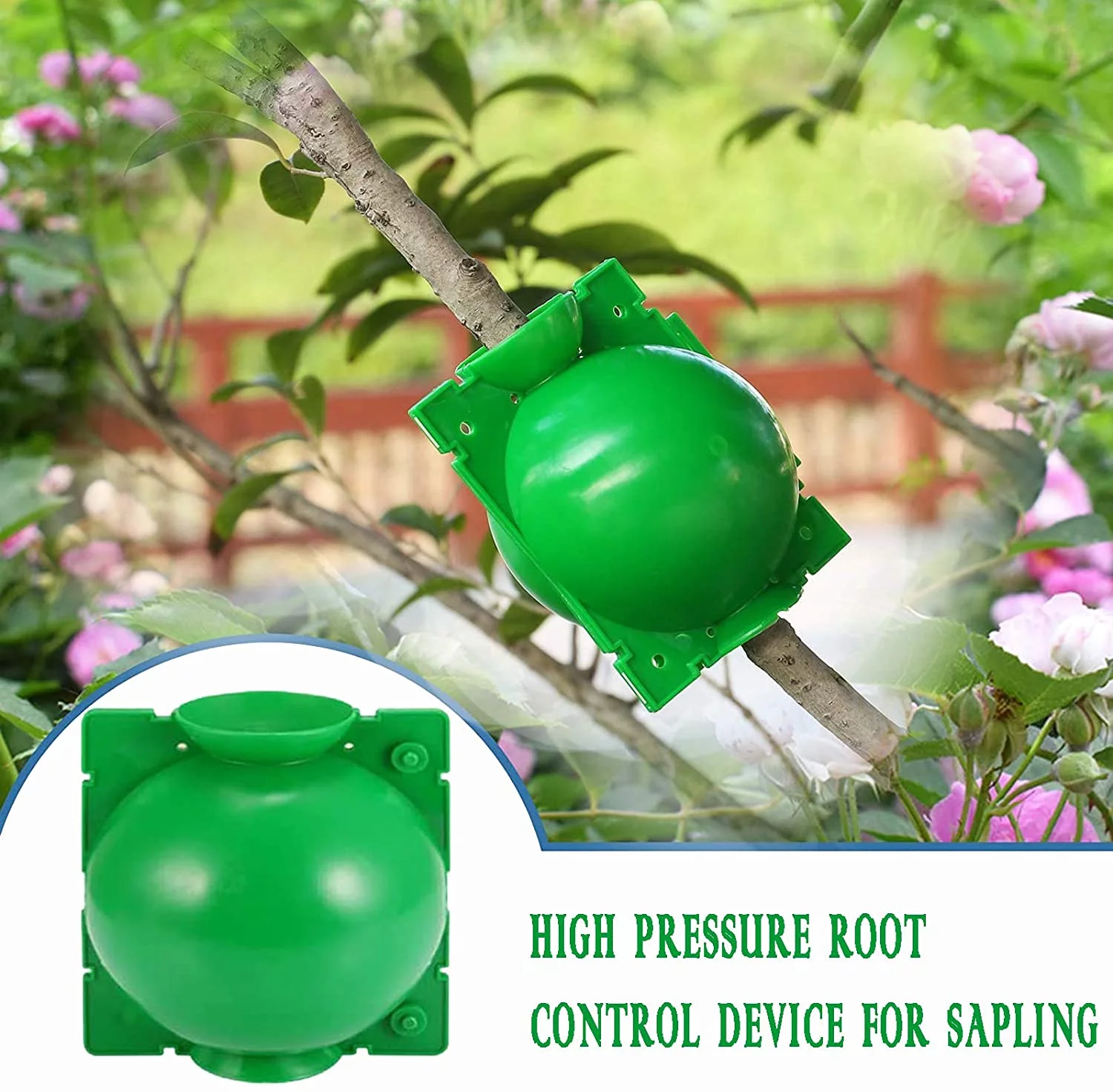 Plant Root Growing Box, Assisted Cutting Rooting Box Propagation Rooting Ball Reusable Plant Grafting Plastic Device - 6 Pcs (M)