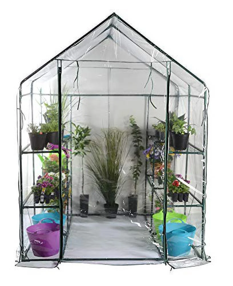 Bloom 63537 Large Walk-in Greenhouse, Green