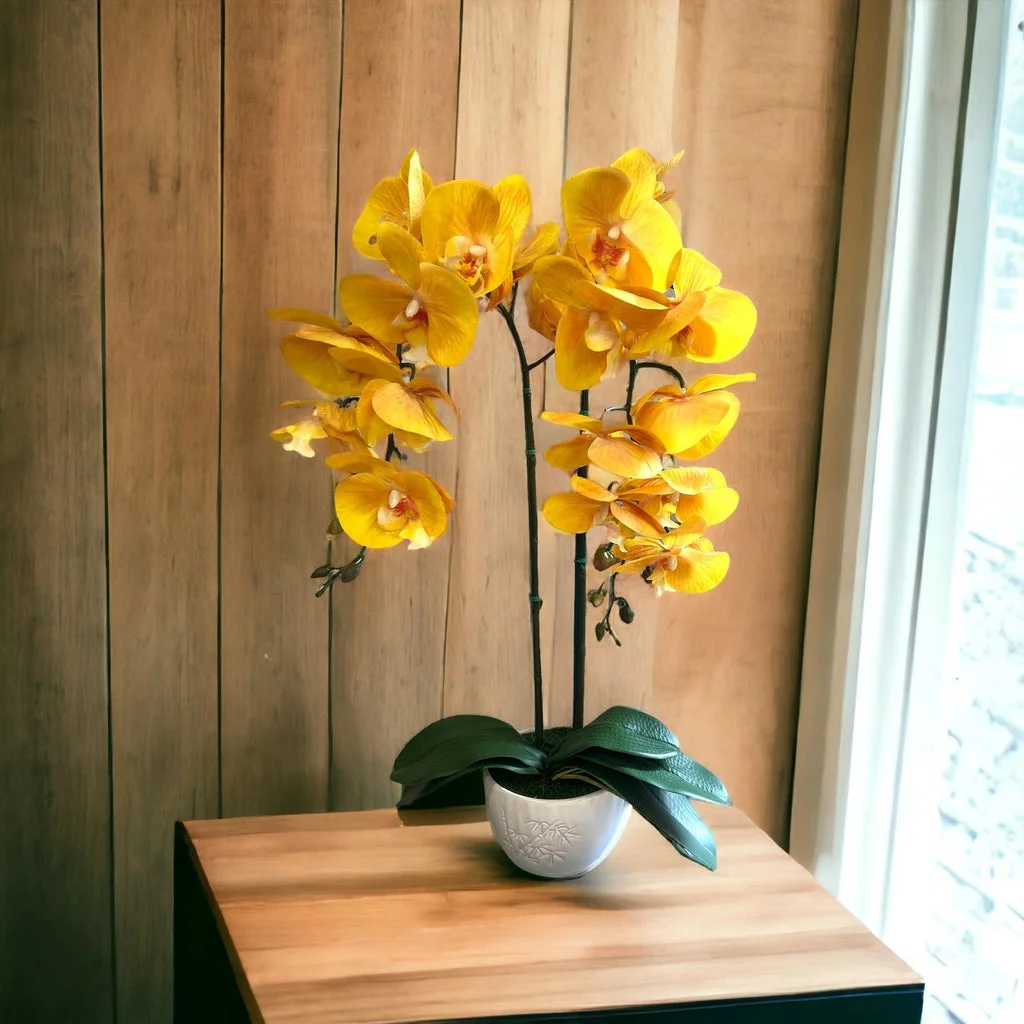 Pixies Gardens Artificial Gorgeous Yellow Orchid Without Pot 2 Stem