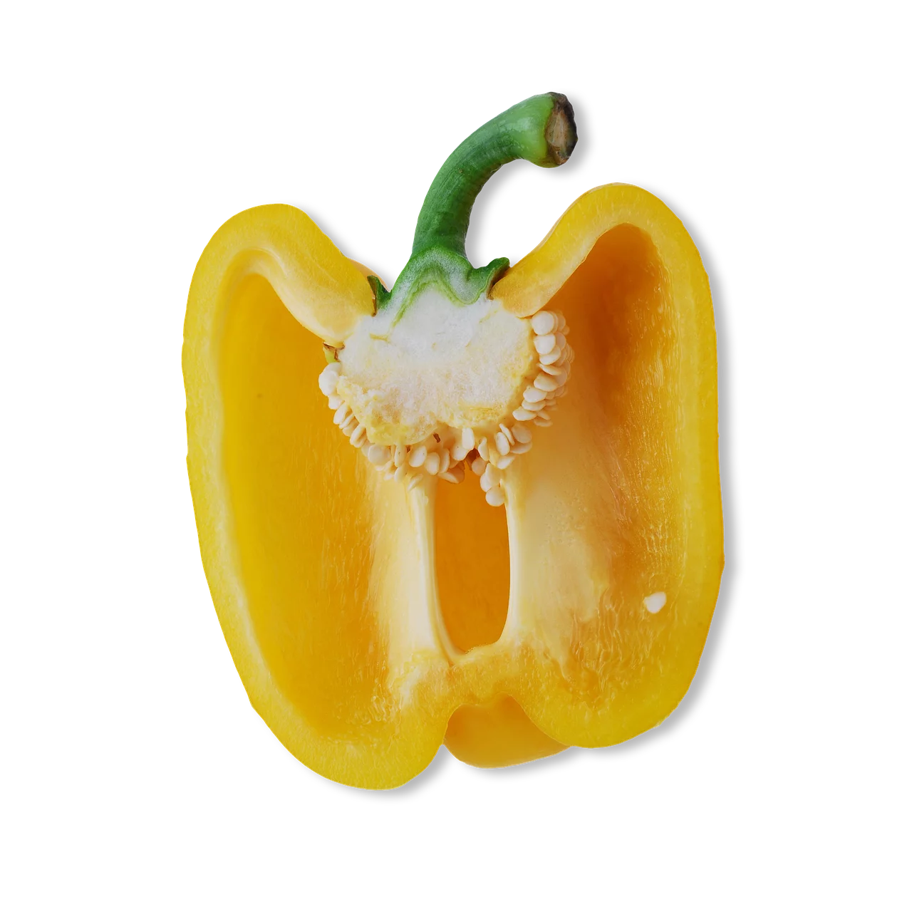 California Wonder Bell Pepper/Perennial/Full Sun/ 1K Seeds 1/4 oz/ Zellajake Farm and Garden - B259
