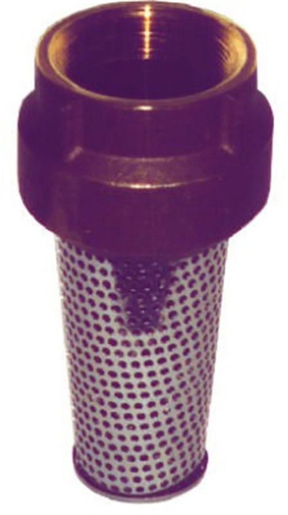 Simmons 2 In. Silicon Bronze Foot Valve, Lead Free 457SB