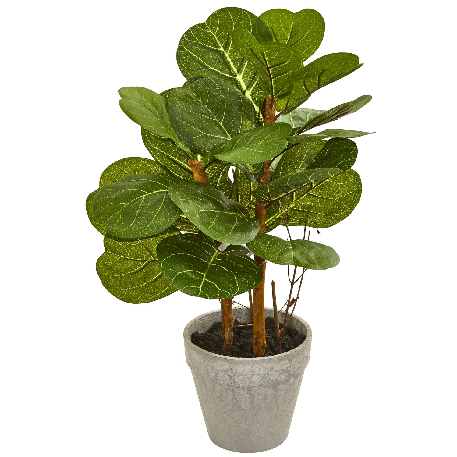 HomeStock 22In. Mediterranean Magic Artificial Plant