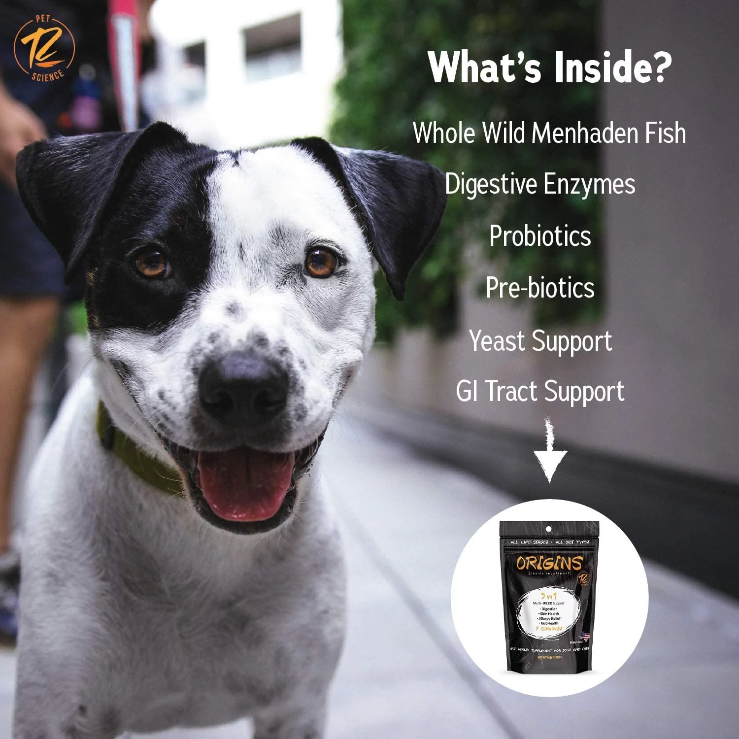 Rogue Pet Science | Origins 5 in 1 Dog Supplement Multivitamin - 1/2LB