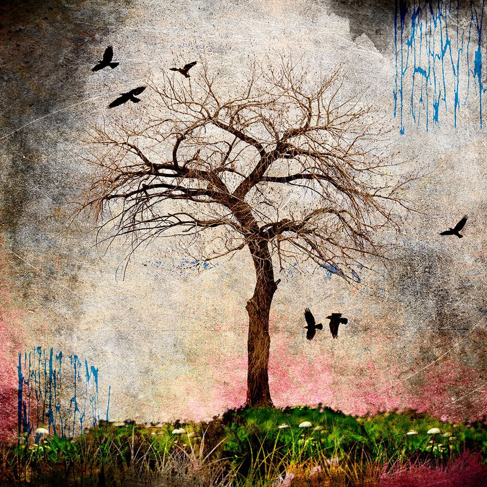 LightBoxJournal 12x12 Black Ornate Wood Framed with Double Matting Museum Art Print Titled - Cottonwood Tree Part 08