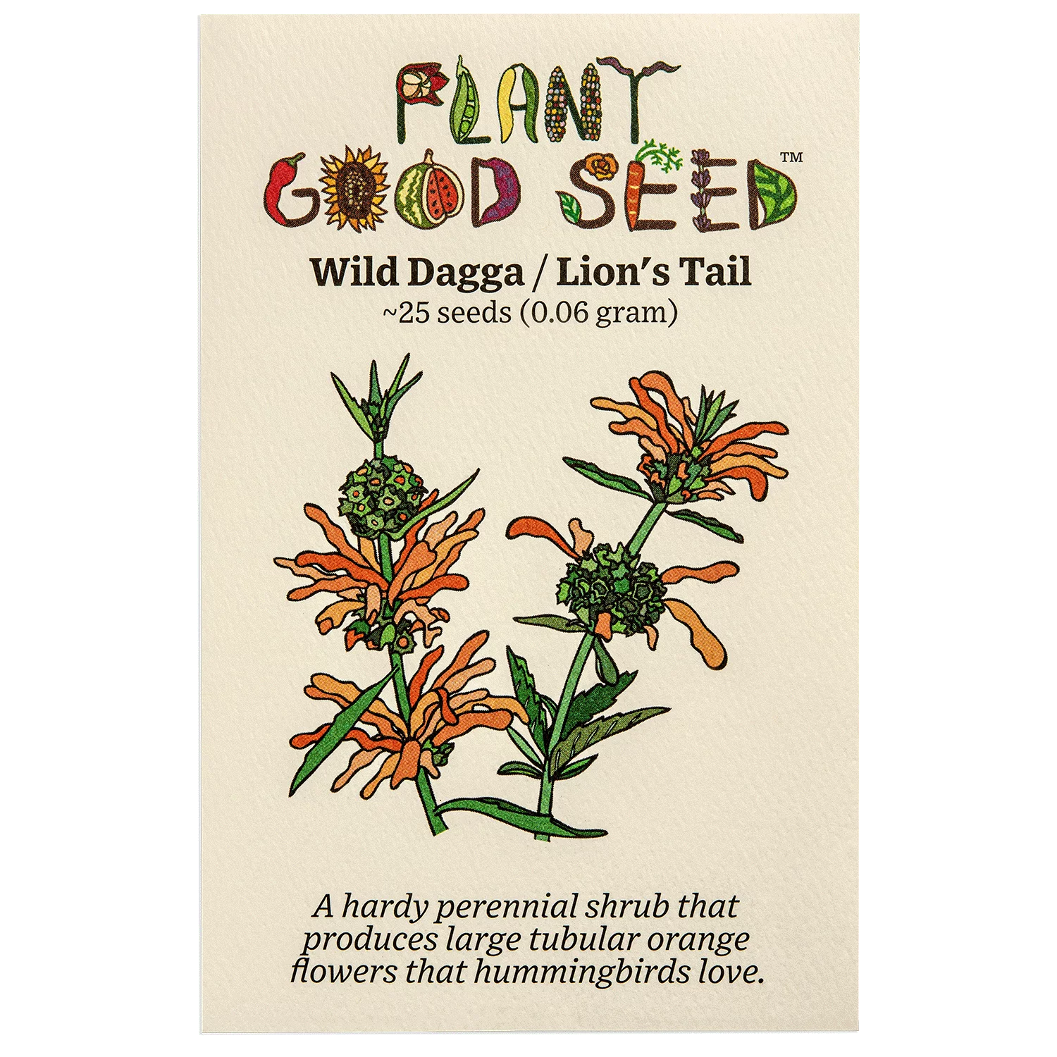Plant Good Seed Wild Dagga Lion's Tail Seeds, Leonotis Leonurus Seeds, Pack of 25