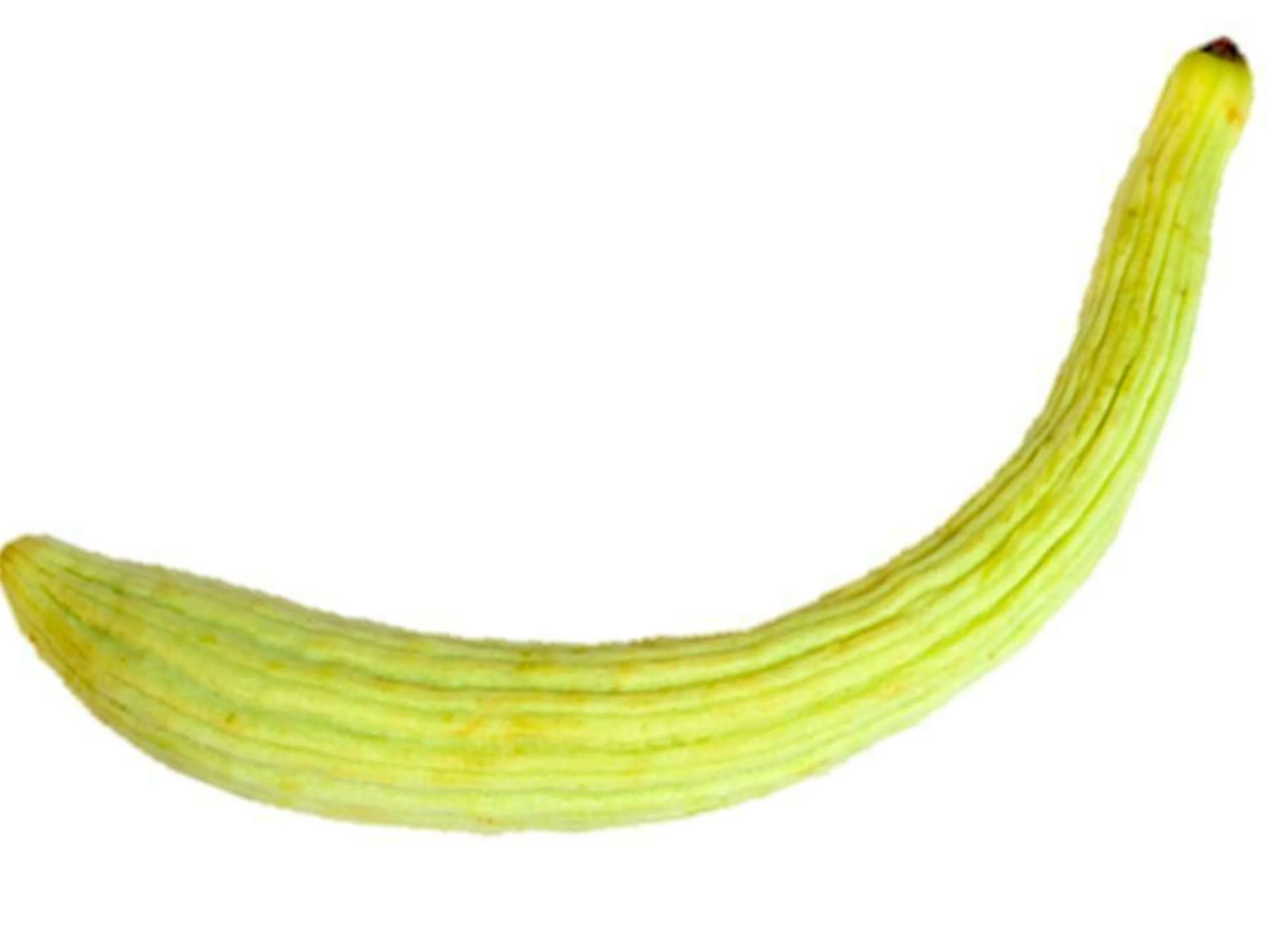 Long Pale Armenian Cucumber Seeds/Annual/Full Sun/240 Seeds 1/4 oz/Zellajake Farm and Garden - B335