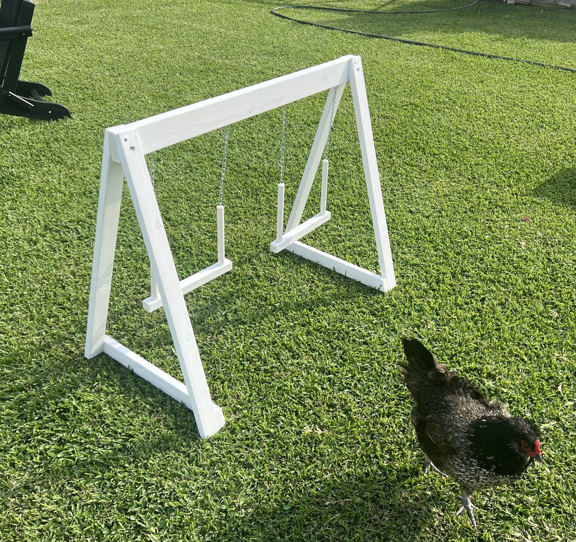 Zylina Play-N-Roost Double Swing