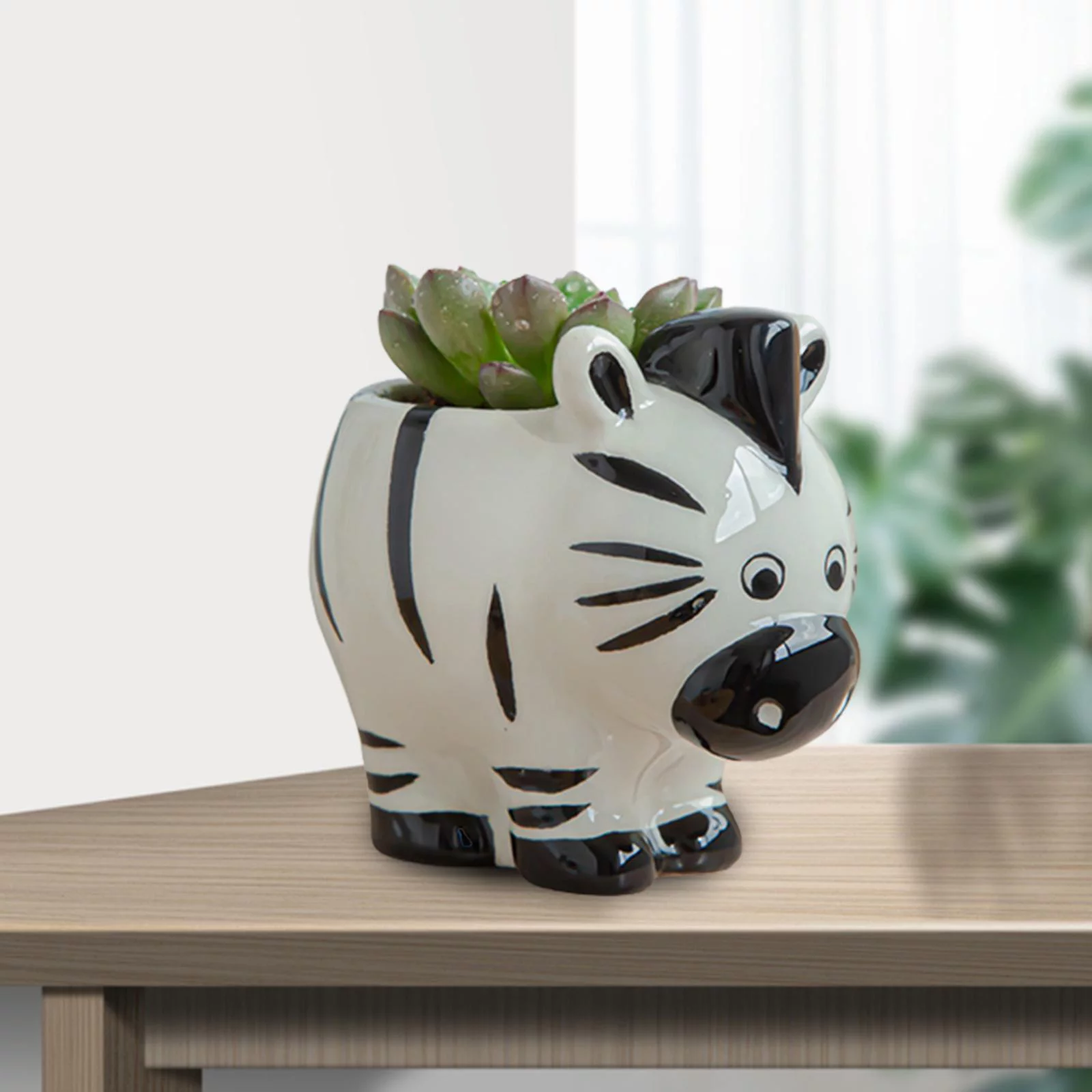 figatia 5-6pack Cartoon Plant Succulent Planter Desk Flower Pot Zebra 6 Pcs