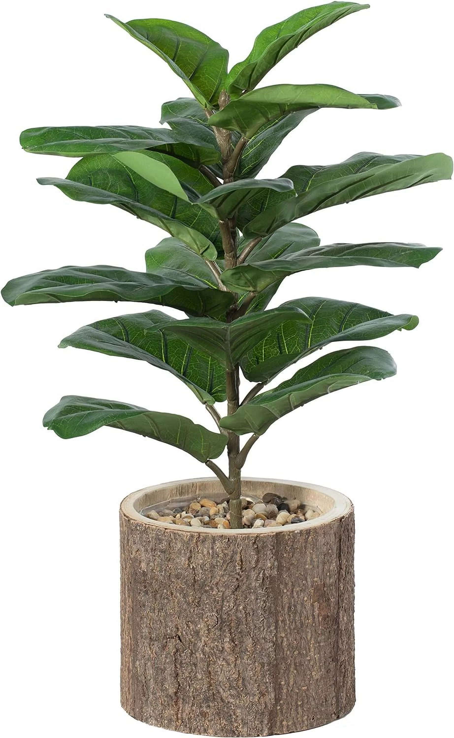 Wooden Stump Tree Branch With Succulent Planter Pot Flower Shelf