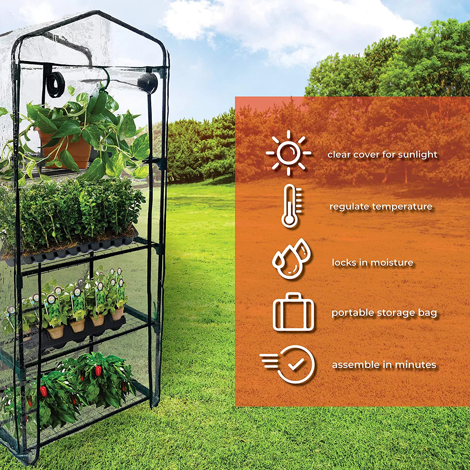 911217 Mini Greenhouse 4-Tier Growing Rack, Portable Carry/Storage Bag, Dark Green
