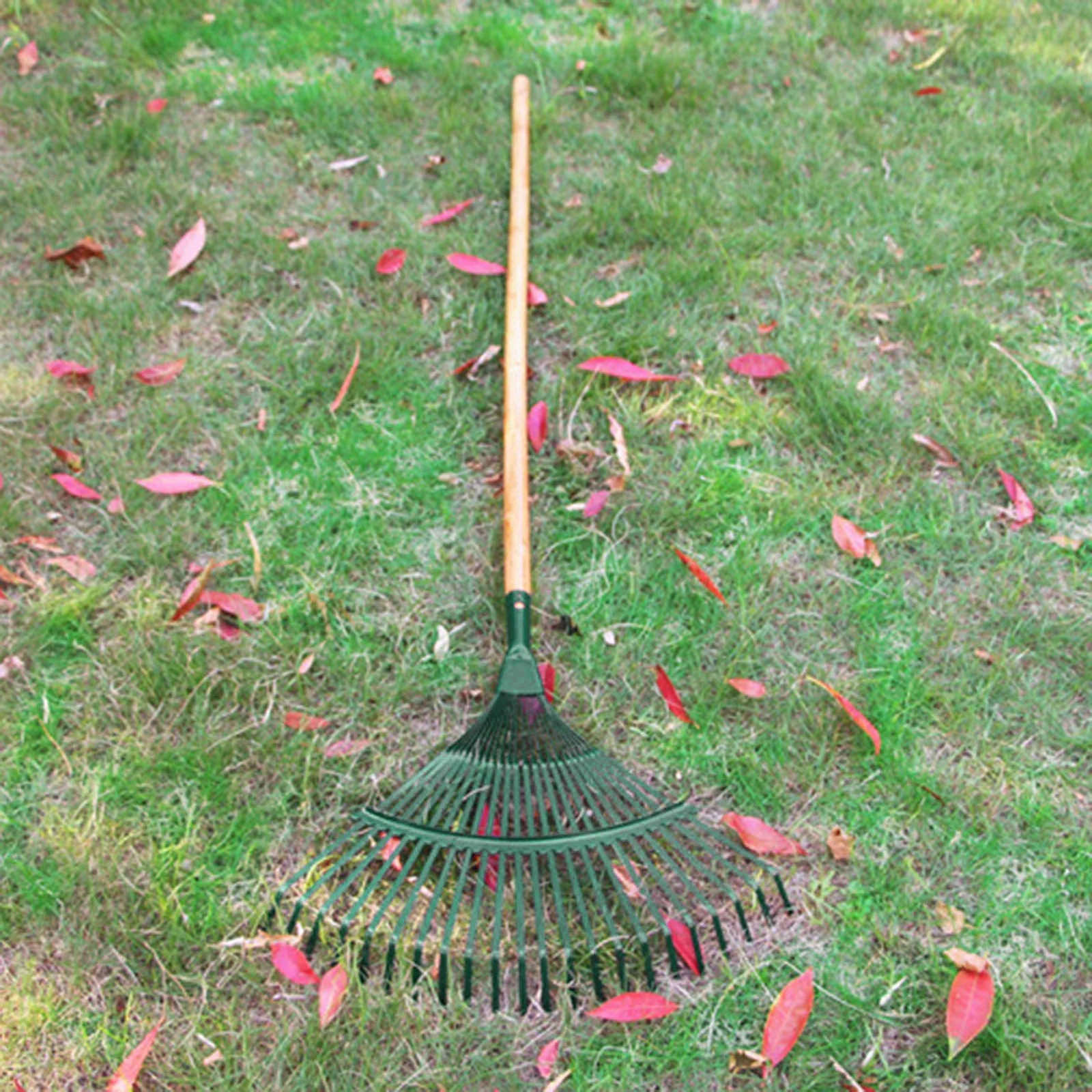 Rake 22 Tooth Rake Wooden Handle Dead Leaf Rake Wire Rake Garden Rake Garden Tool