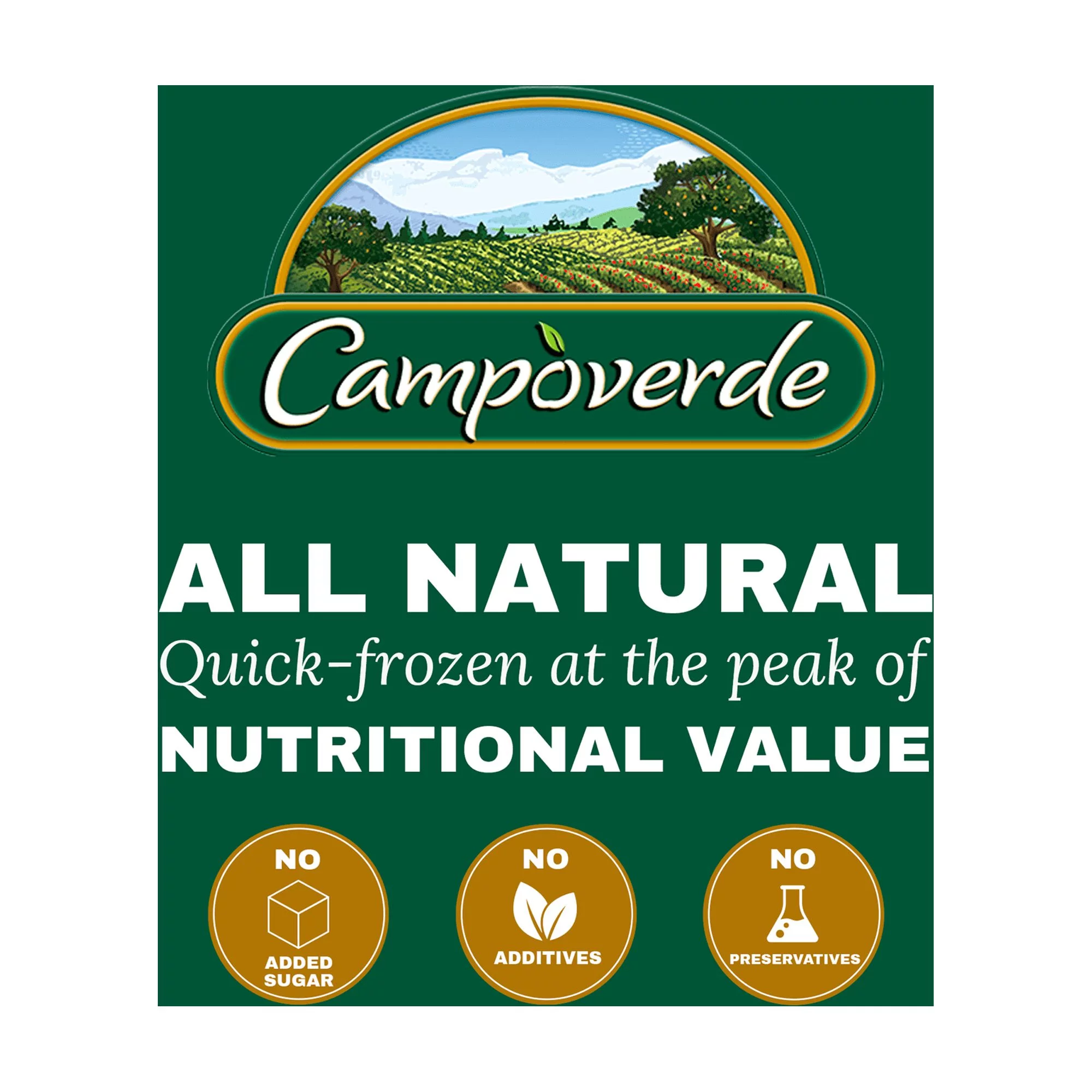 Campoverde Frozen Fruit & Veggie Smoothie 4 Pack, Passion Bliss 32oz Bag with Passion Fruit