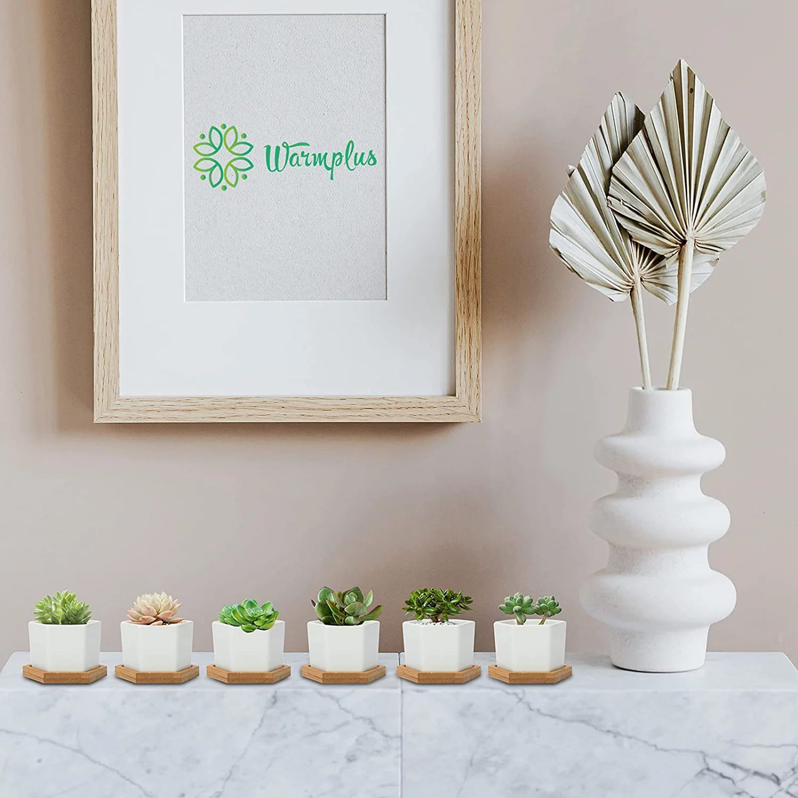 YHAIOGS Succulent Pots White Mini Ceramic Flower Planter Pot with Tray Plants Not included