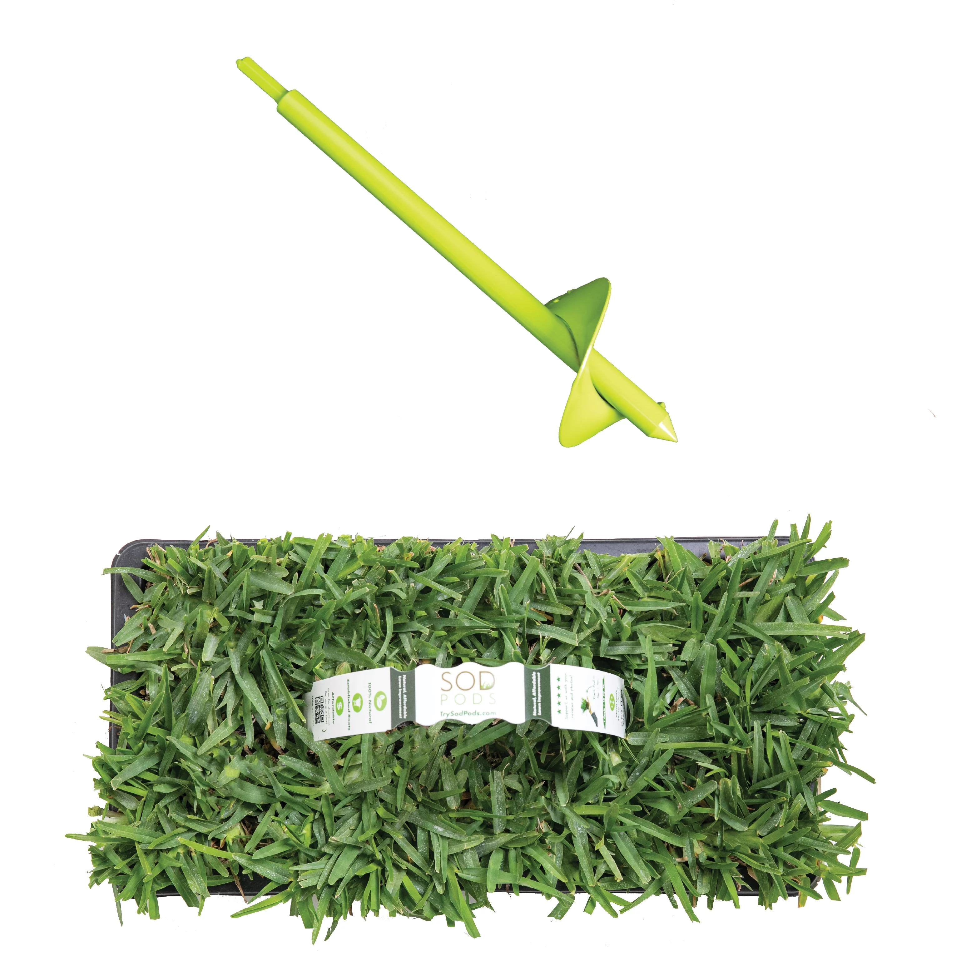 SodPods St Augustine Palmetto (32-Count)/SP Power Planter Bundle, Natural Affordable Lawn Improvement