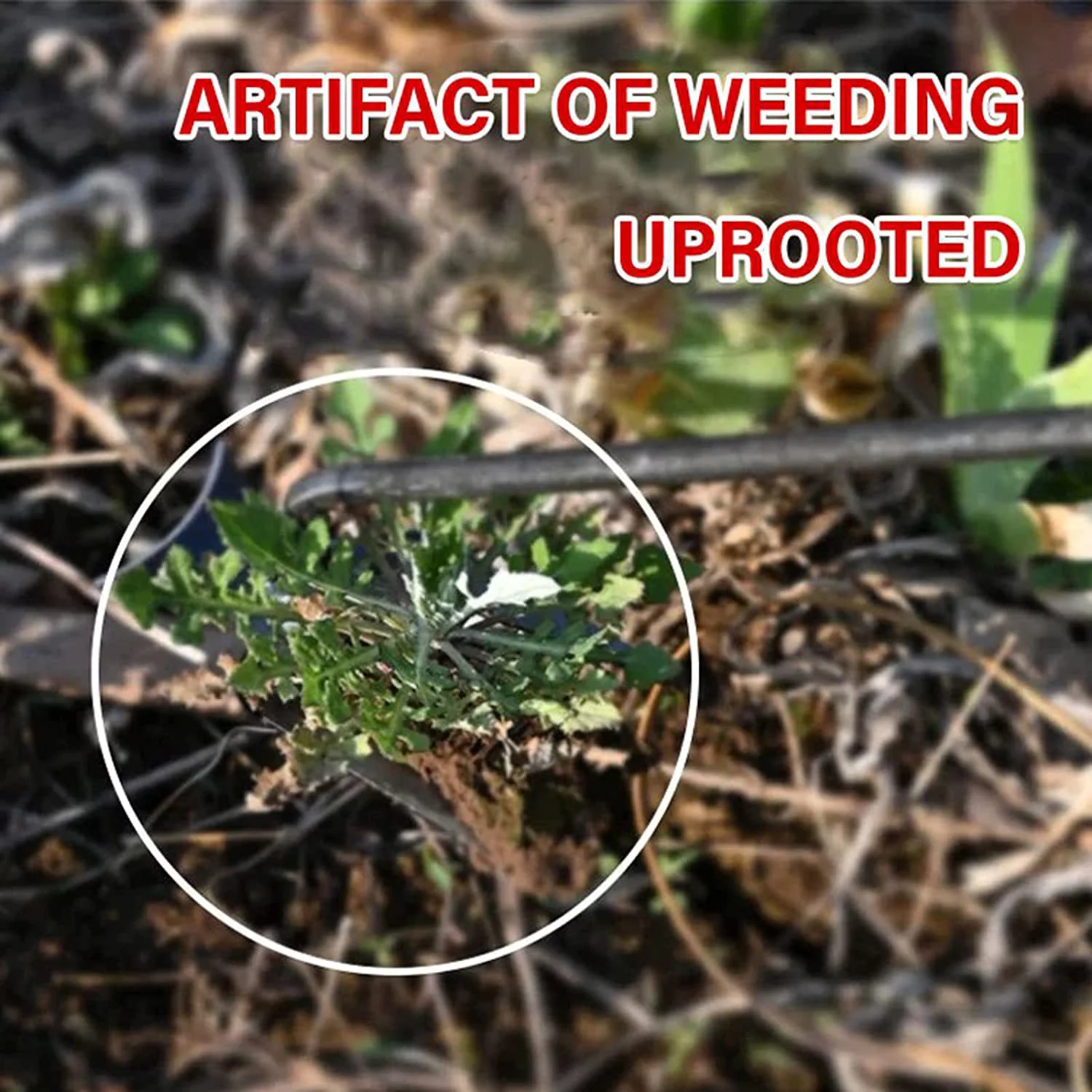 MAVLLY Weeding Artifact Uprooting Weeding Tool, Garden Weeding Tools, Manganese Steel Forged Weed Puller 4 Teeth Dual Purpose Weeder, High Strength Hand Remover Tool for Garden (12 Inch Wooden Handle)