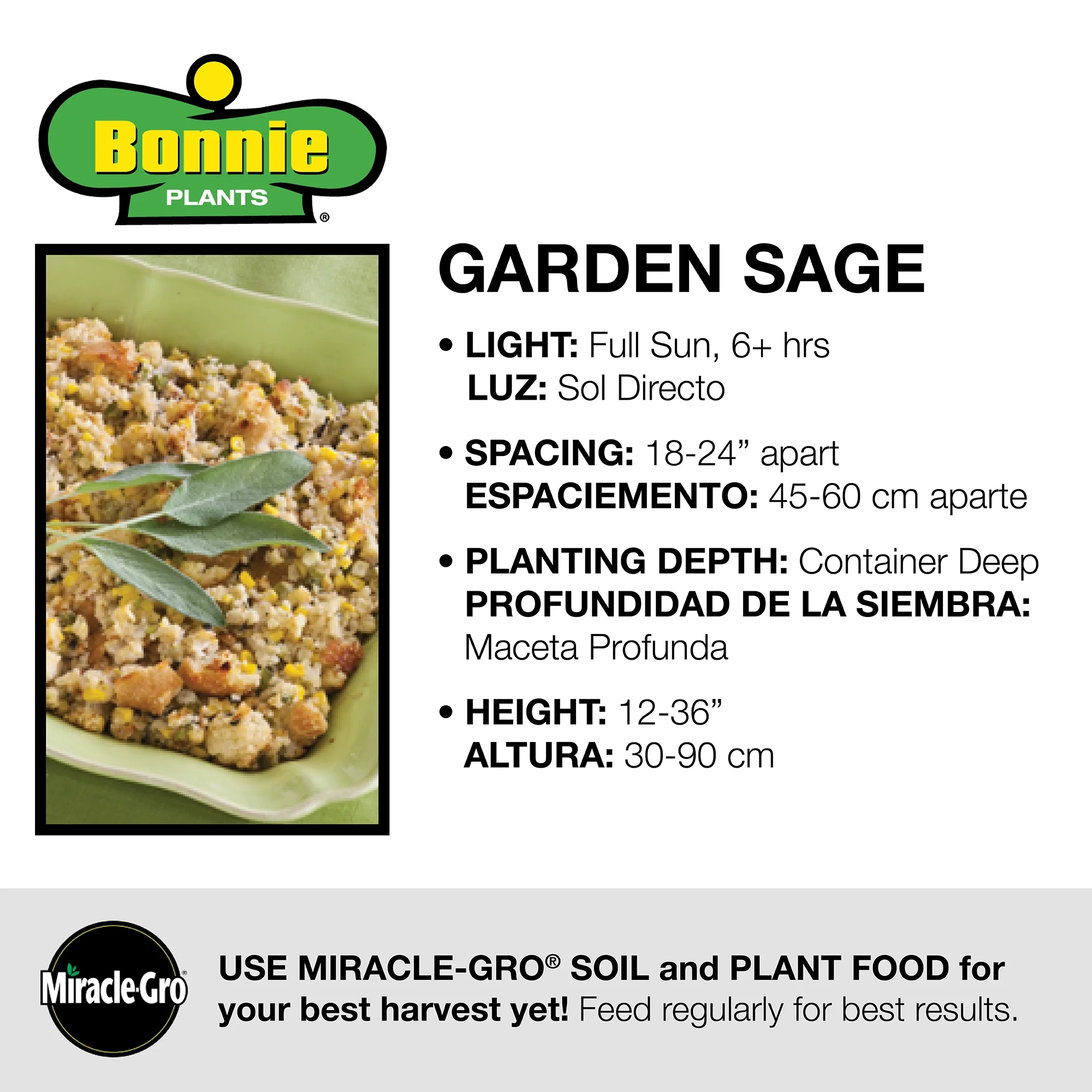 Bonnie Plants Garden Sage 2.32 qt.