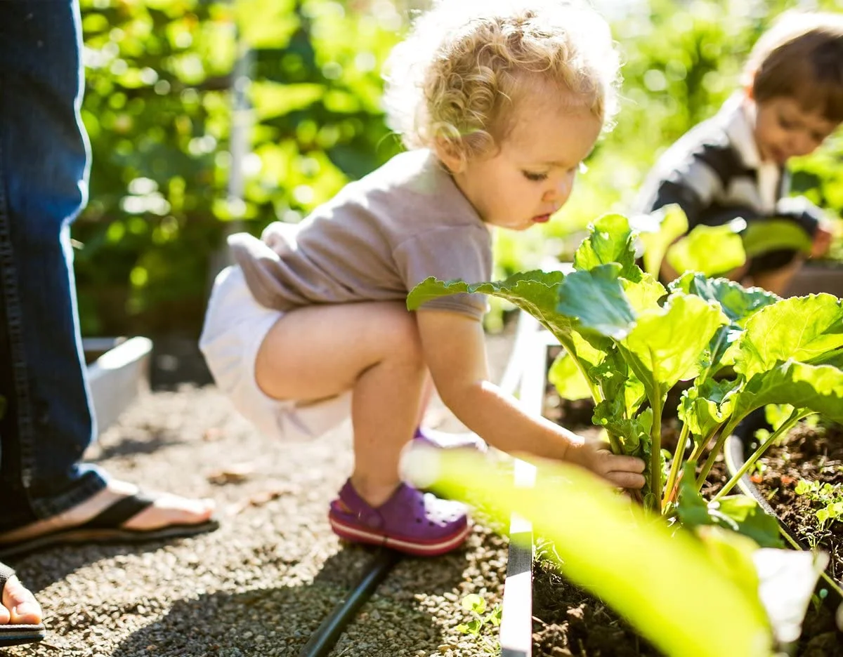 Vremi 9 Piece Garden Tools Set - Gardening Tools with Cotton Garden Gloves and Garden Tote